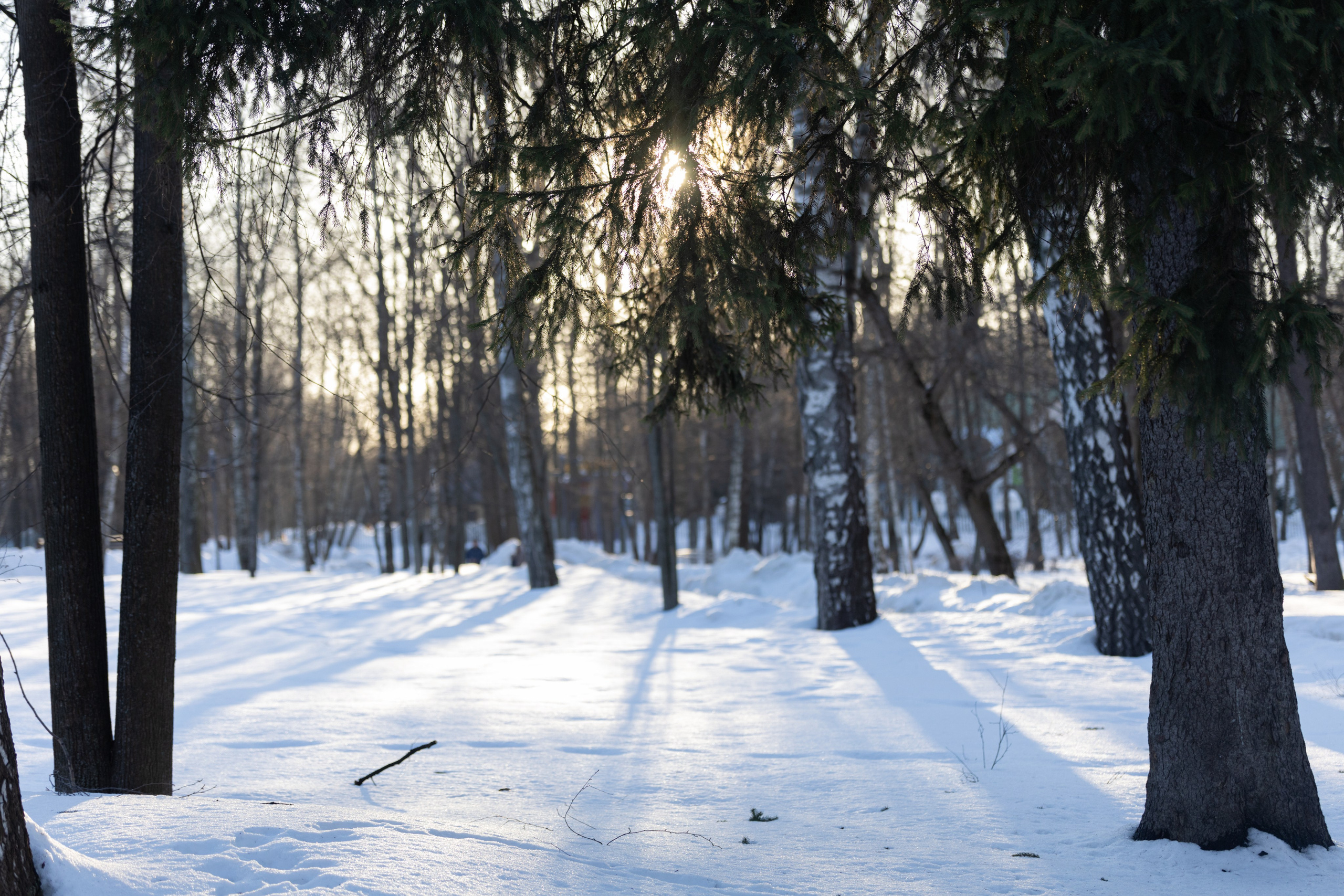 Пейзажи фотографа Виктор Степанов. Фотограф Виктор Степанов