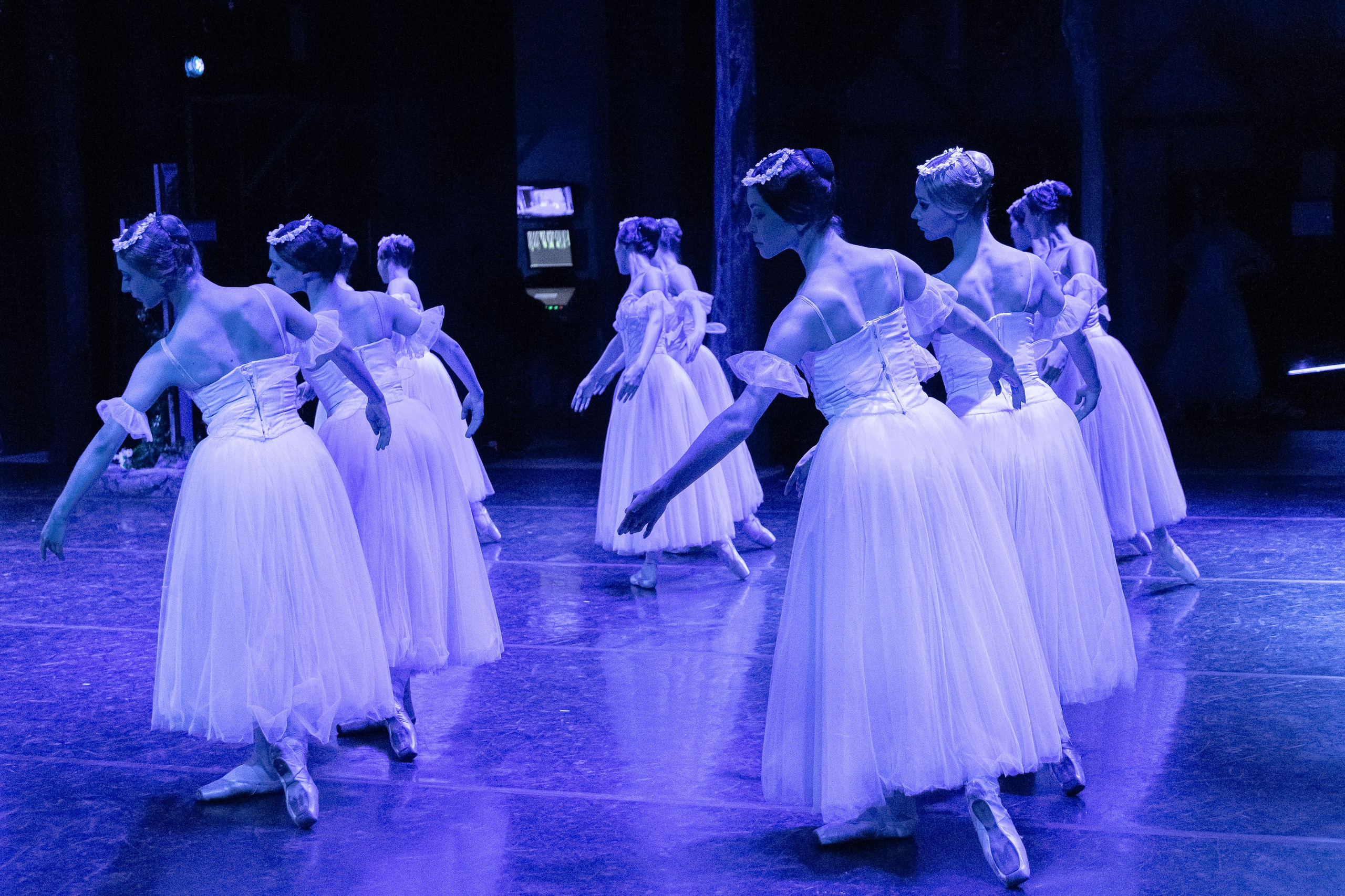 Концерты. Семейный фотограф в Абакане Любовь Халявина