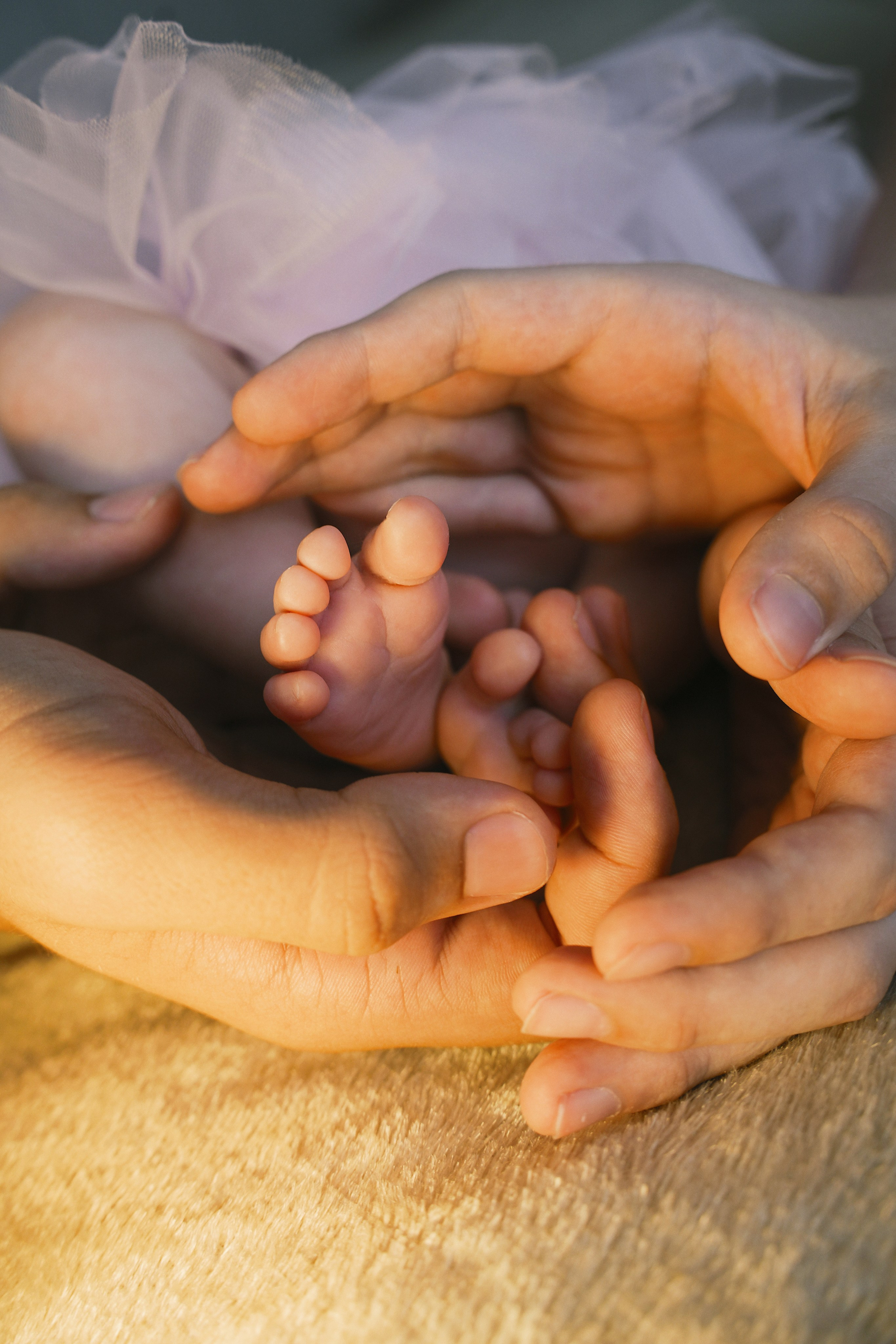 Маленькая Амелия и ее большая семья. Главная