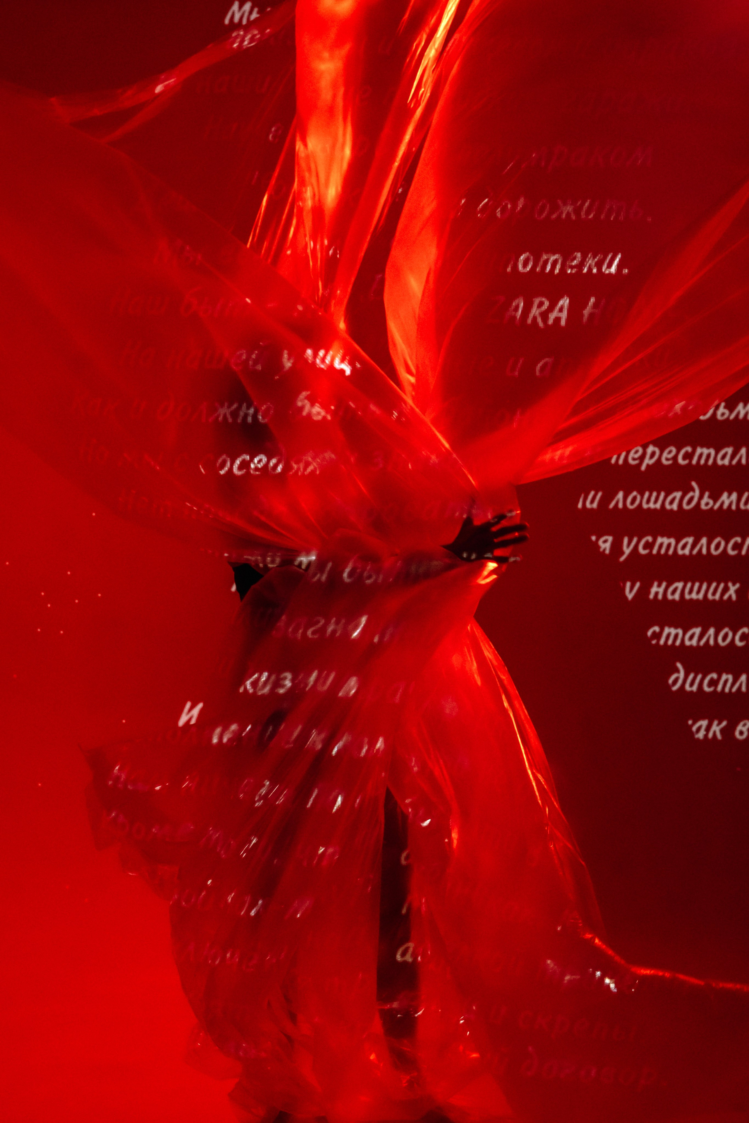 Галерея. Фотограф Анастасия Веселова