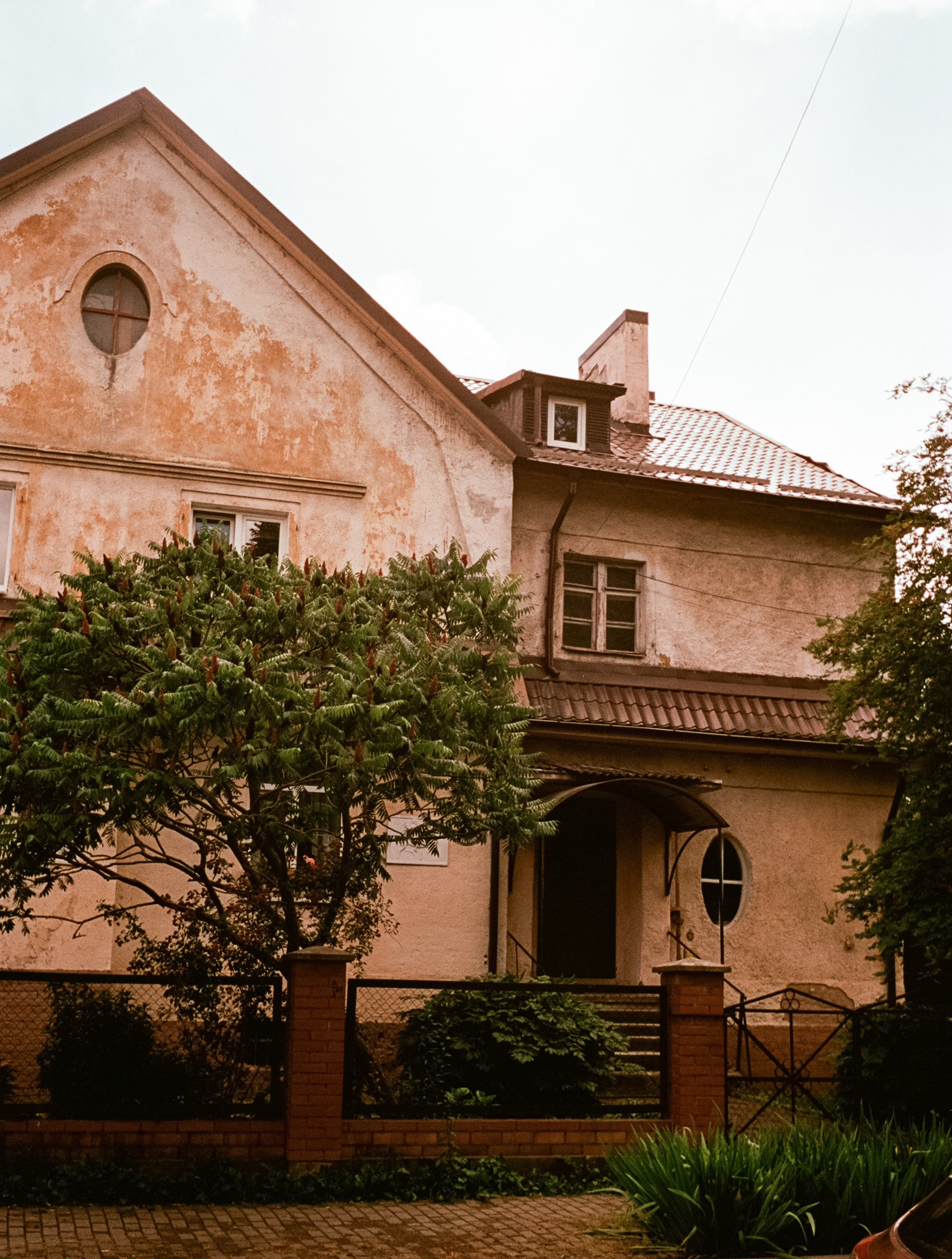 Калининград в солнечный день 7 июля 2024 года / Aerocolor IV / Minox 35GT (2)