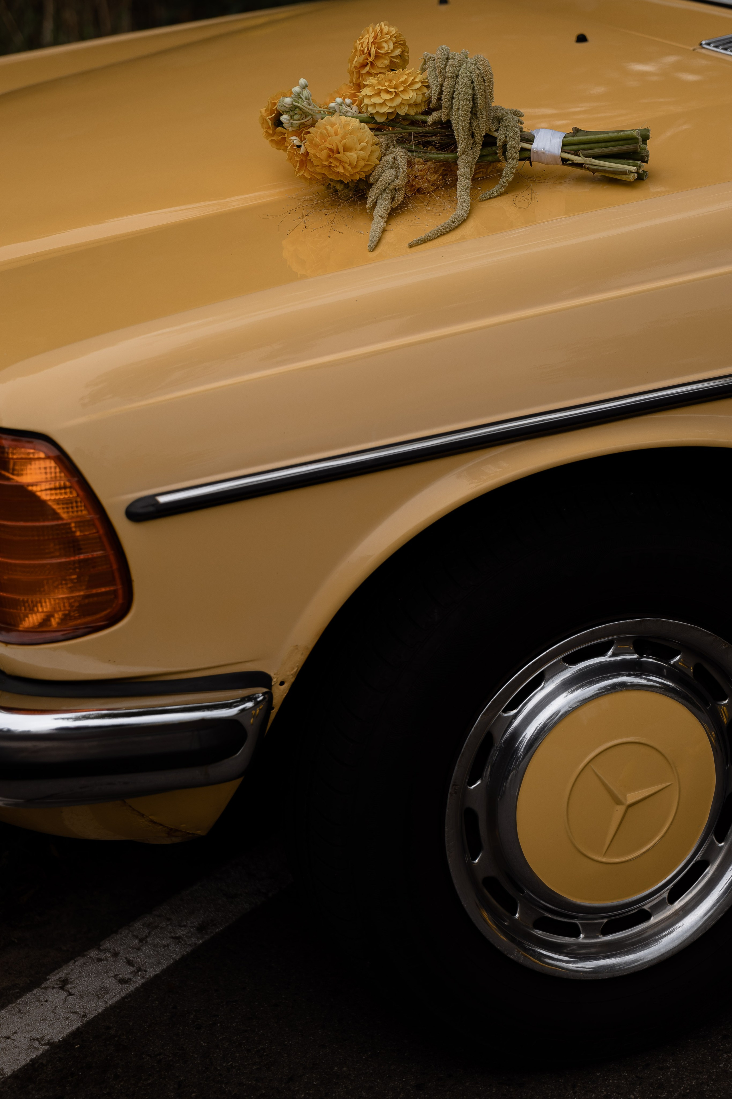 YELLOW. Кто мы?