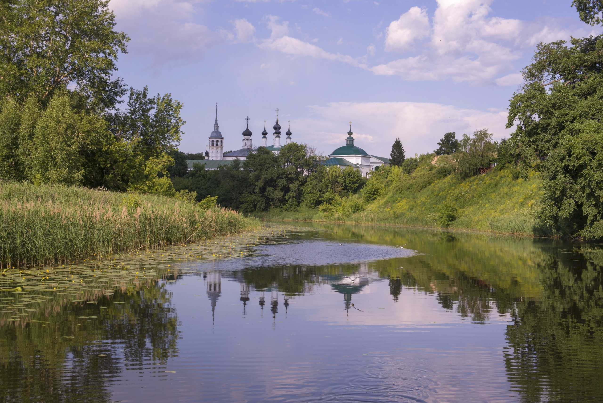 Суздаль. Июнь 2019. Игорь Жучков. Россия увиденная глазами путешествующего фотографа
