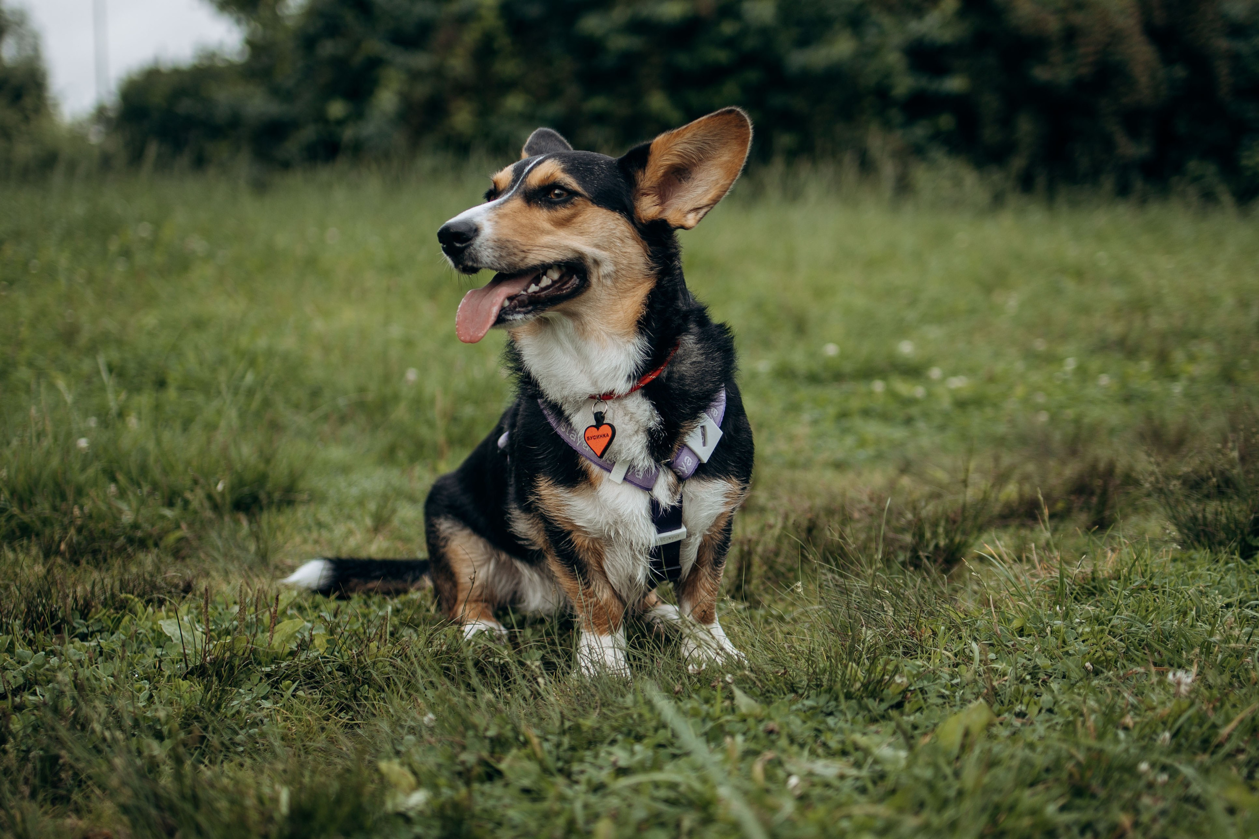 Тамара и Бусинка