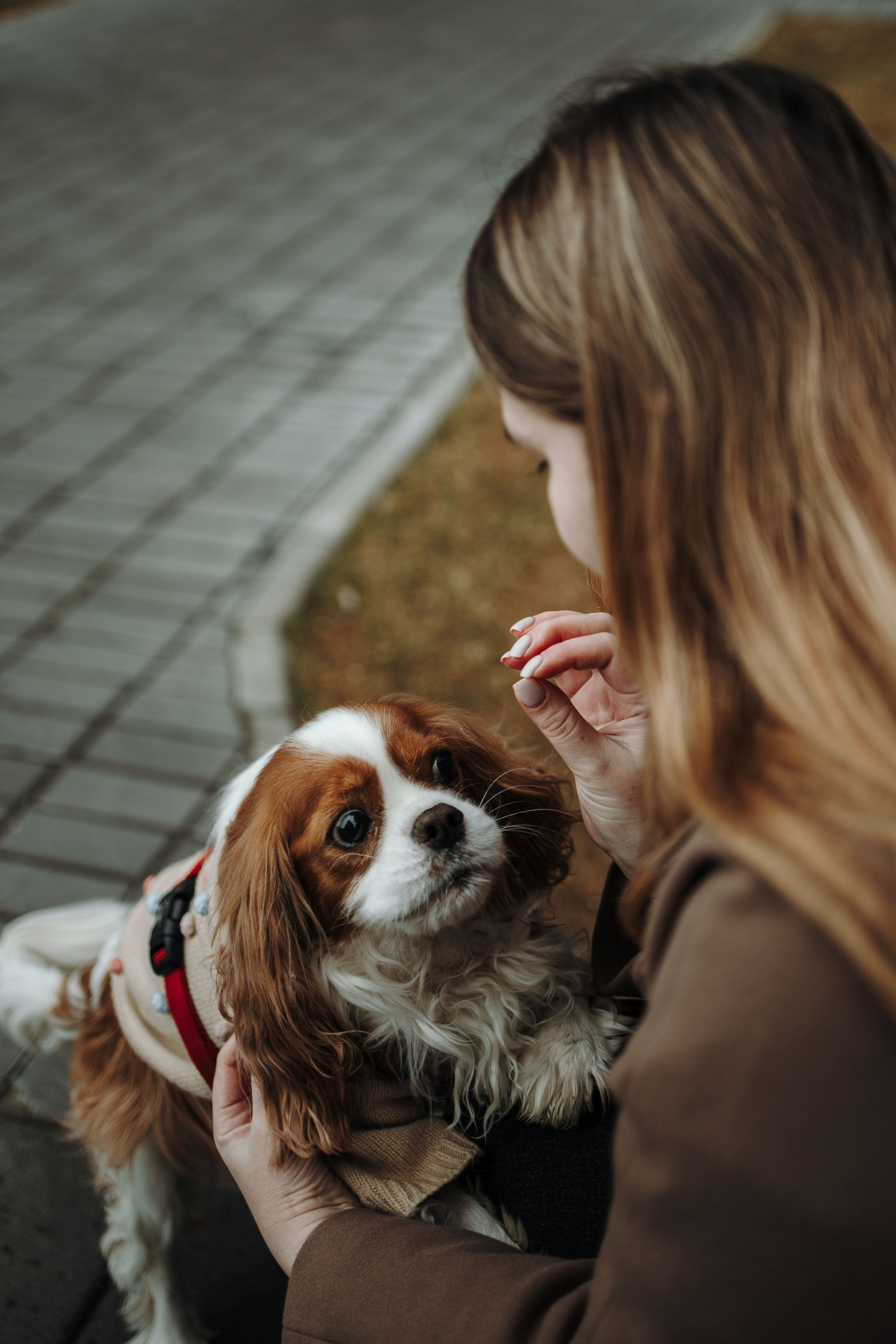 Любовь и Альтаир