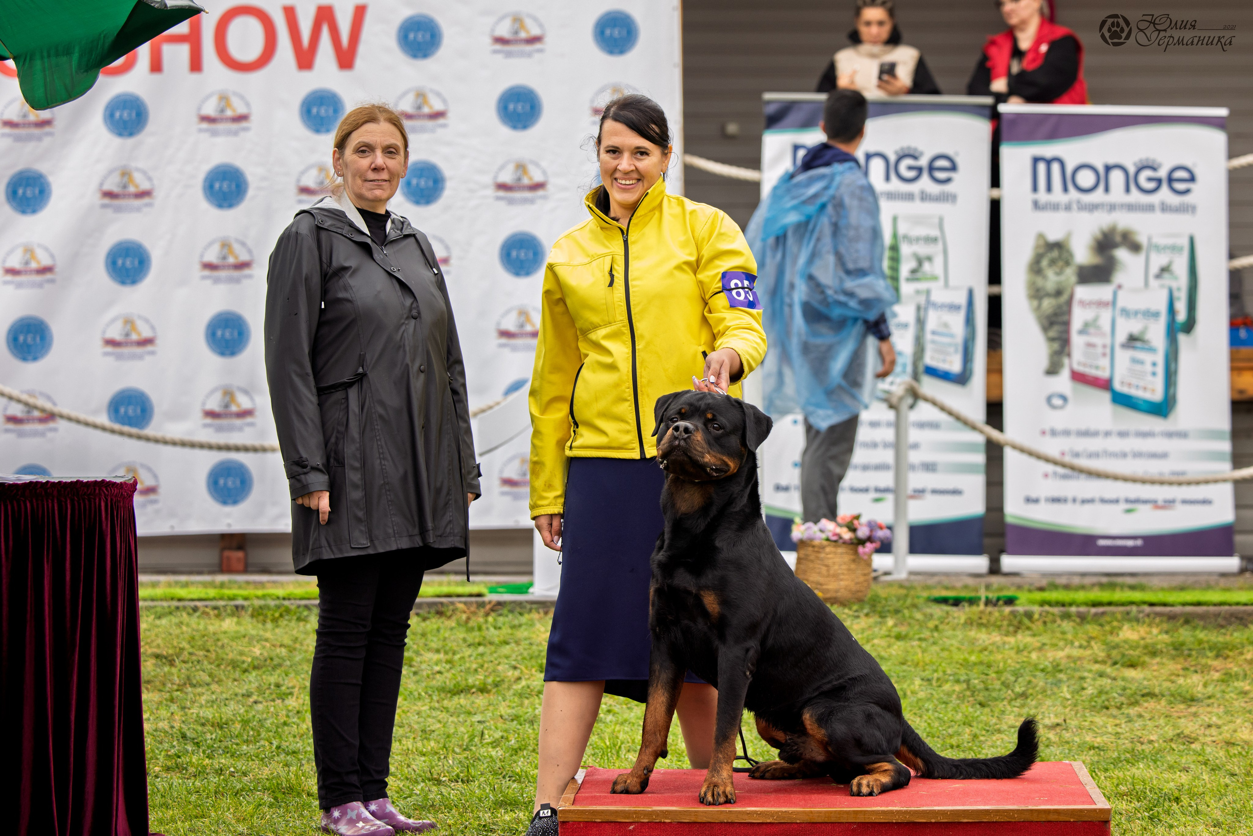 Армения,Ереван 3хCACIB 15-17.10.2024. Фотограф-анималист Юлия Германика