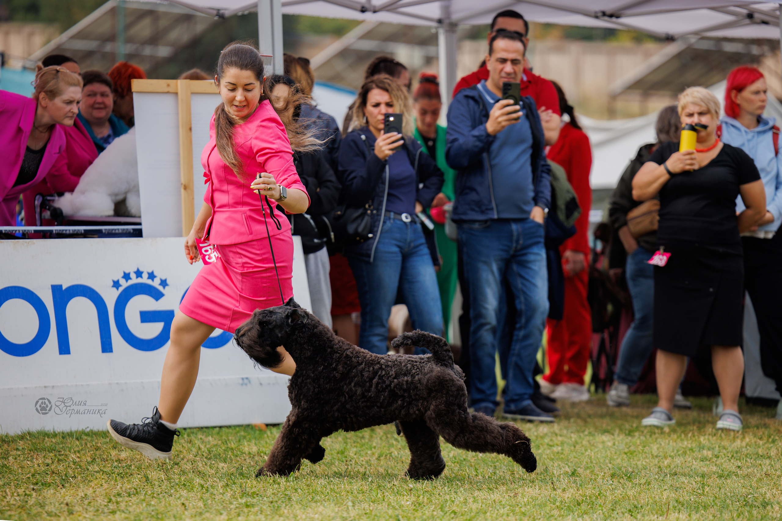 Армения,Ереван 3хCACIB 15-17.10.2024. Фотограф-анималист Юлия Германика