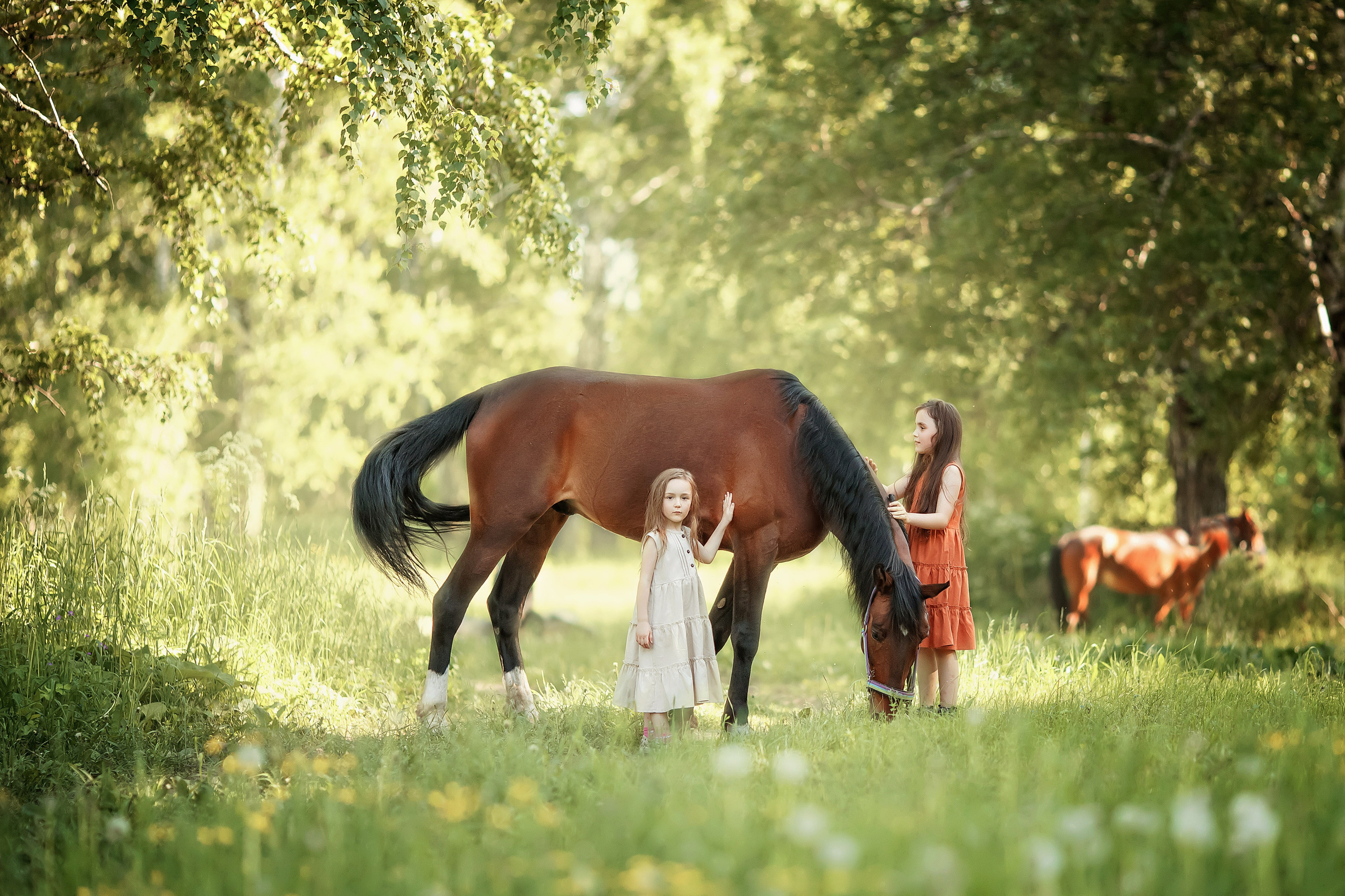 С конем. Сказочный фотограф фотопроекты фототуры в Новосибирске и на Алтае