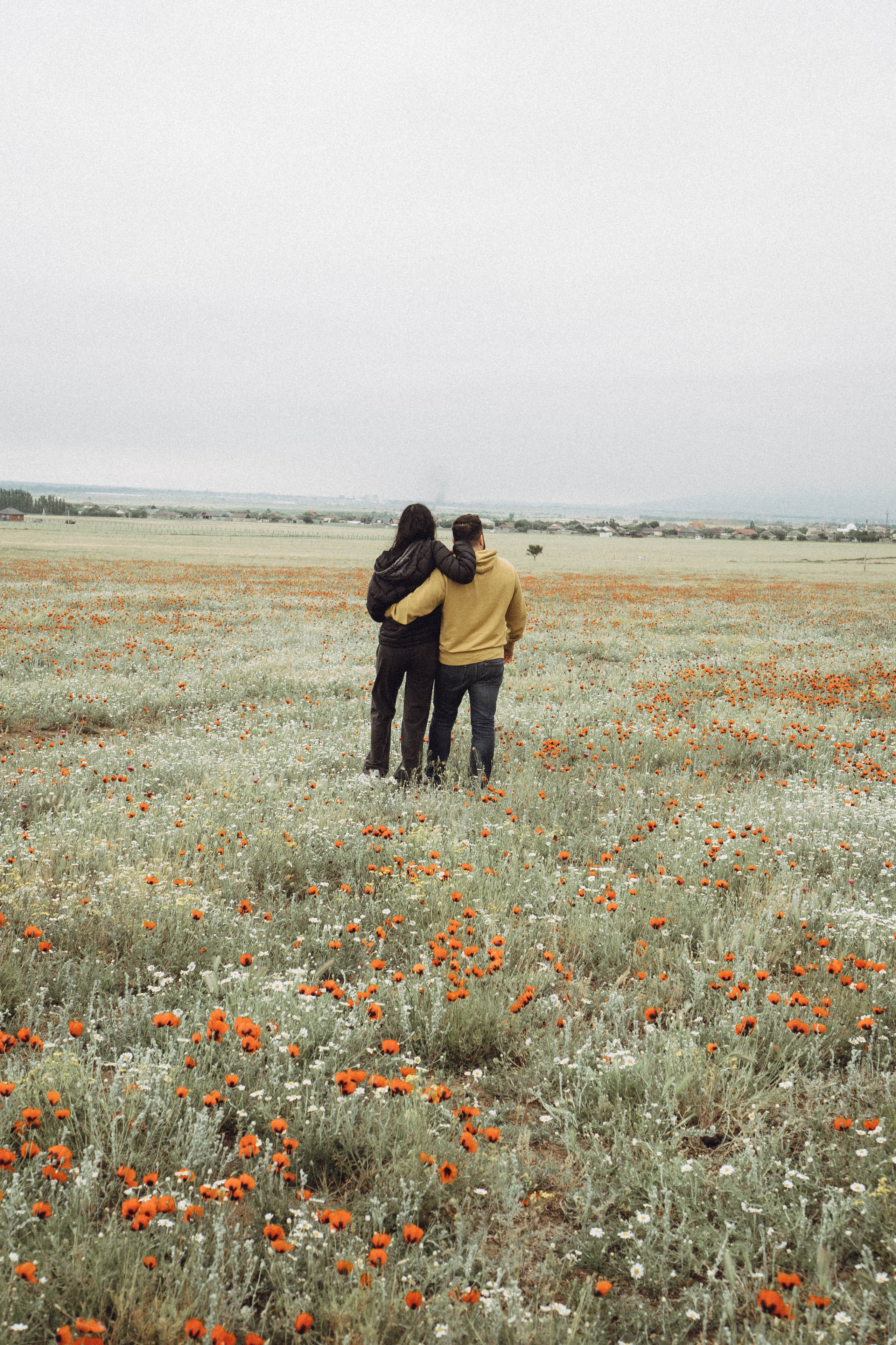 Любовь в маковом поле. Профессиональный фотограф, Санкт-Петербург — Виктория Богомолова