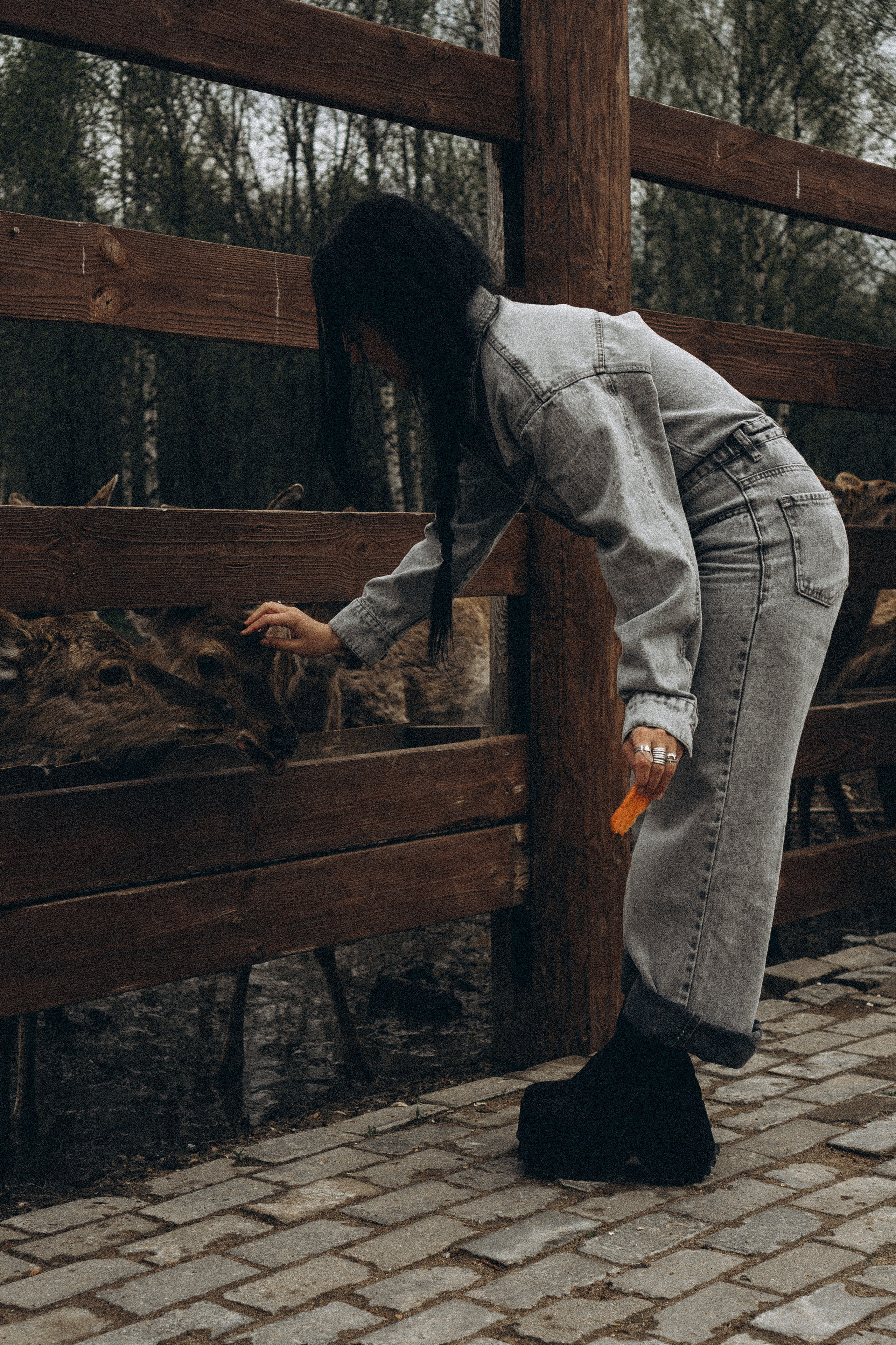 ОЛЕНЬЯ ФЕРМА В ТВЕРИ. Профессиональный фотограф, Санкт-Петербург — Виктория Богомолова