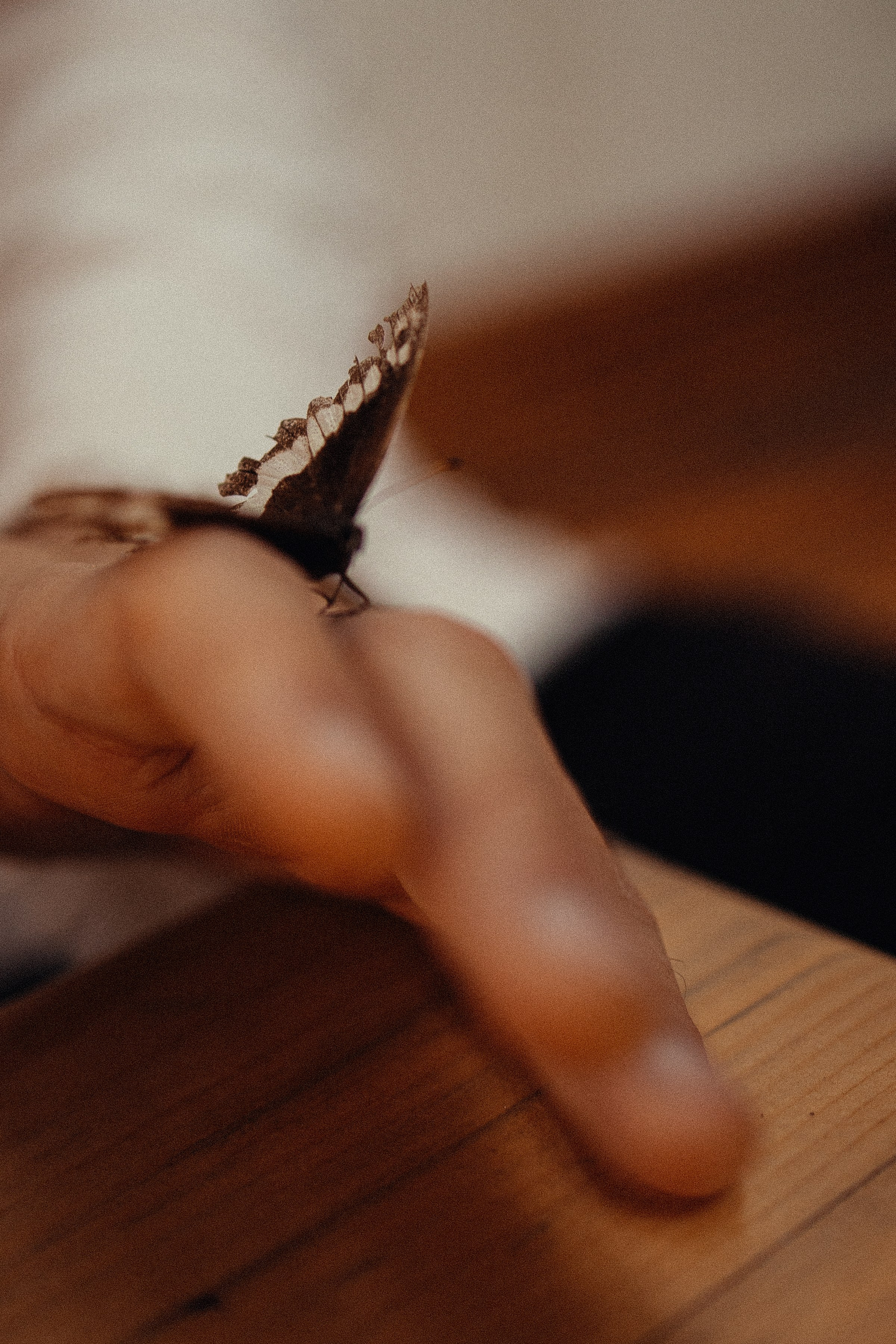 R.A.SVET / утро в Тбилиси. Фотограф Наталья Гончарова. Снимаю живые портреты в Алматы