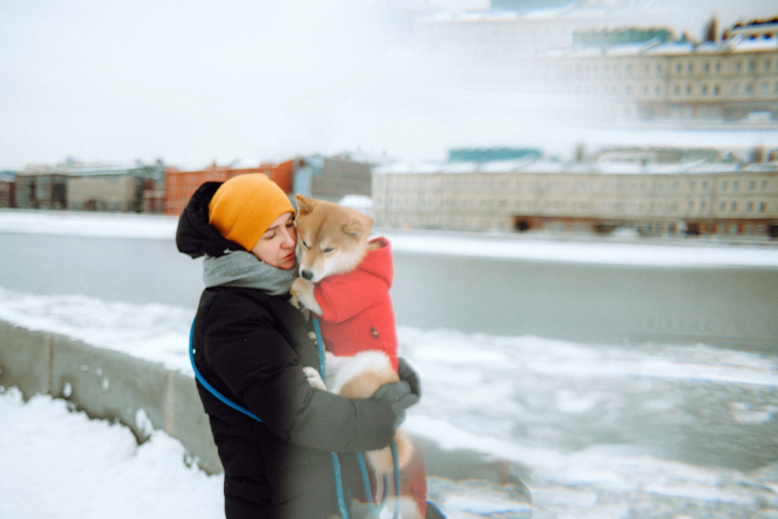 Настя и Ронин