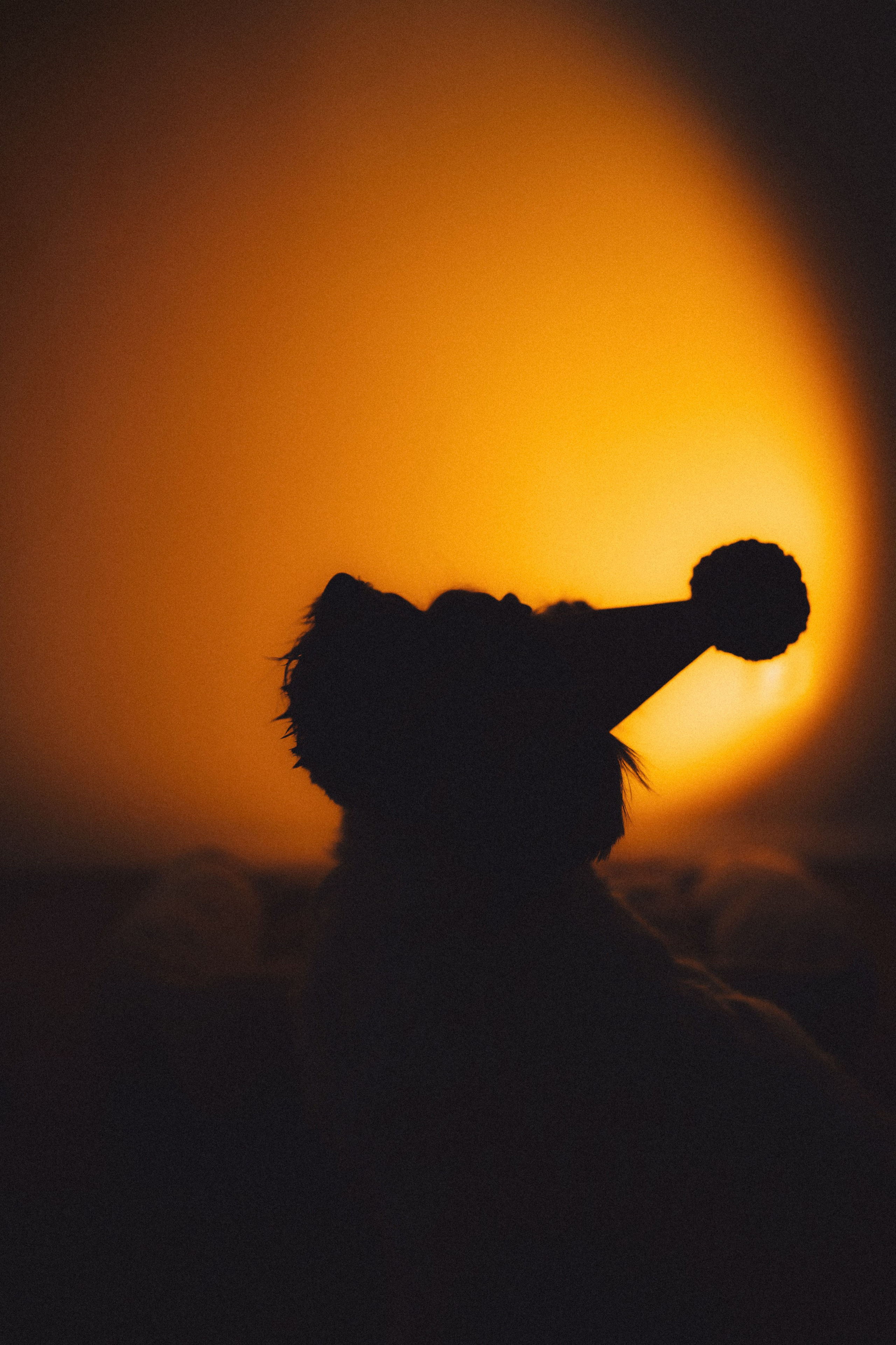 День Рождения Шу