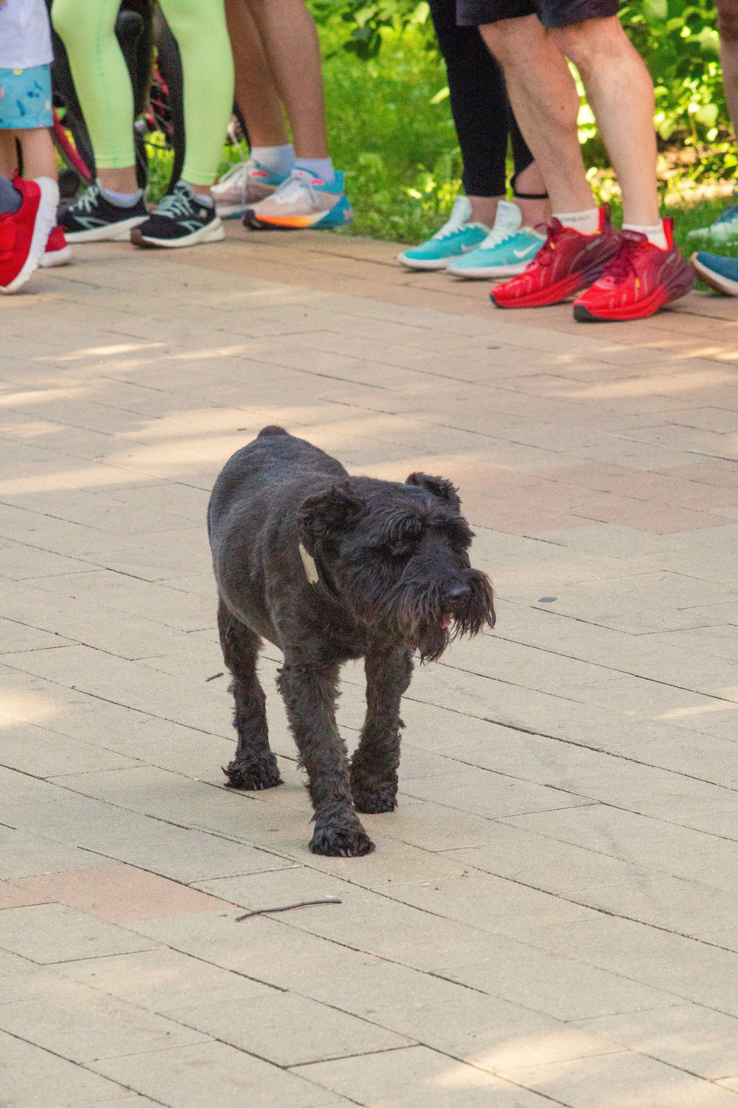 5 вёрст Наташинский 22 июня 2024. Роман Капилюшов. Бег. Фото. Видео. г. Люберцы