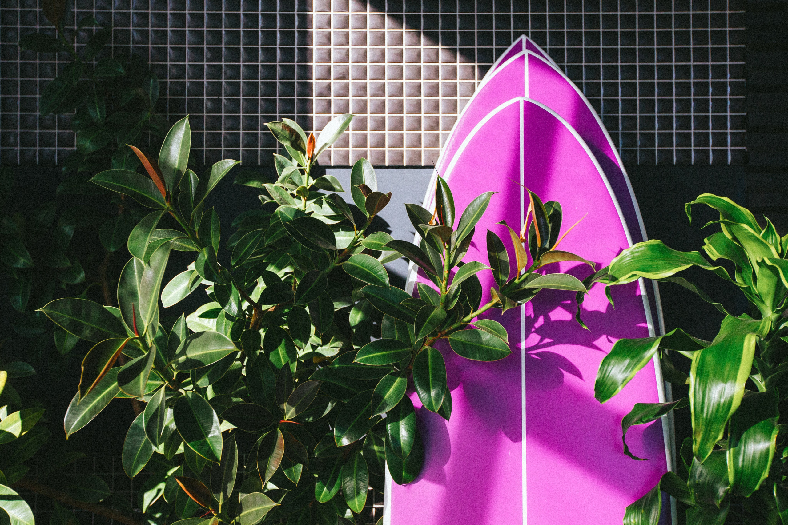 Surf Coffee. Максим Чернышев — фотограф