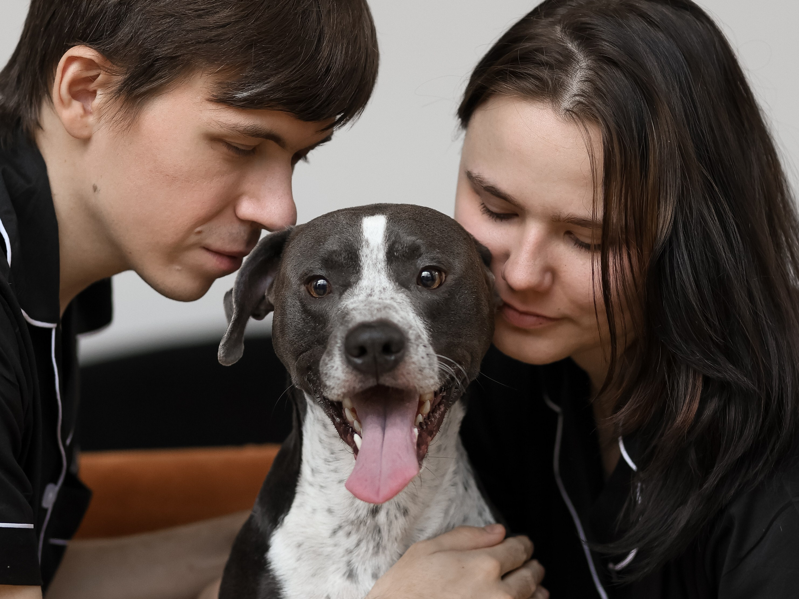 Тортик Даша и Никита. Фотограф-анималист в Москве Кириллова Татьяна