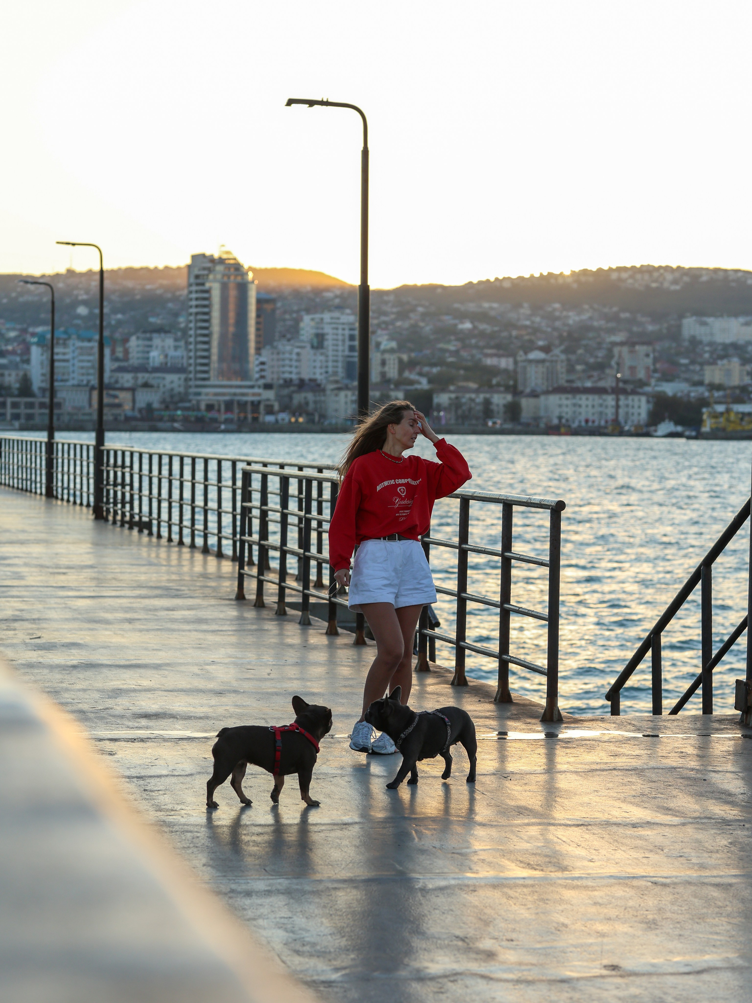 Белла, Луна и Нелли. Фотограф-анималист в Москве Кириллова Татьяна