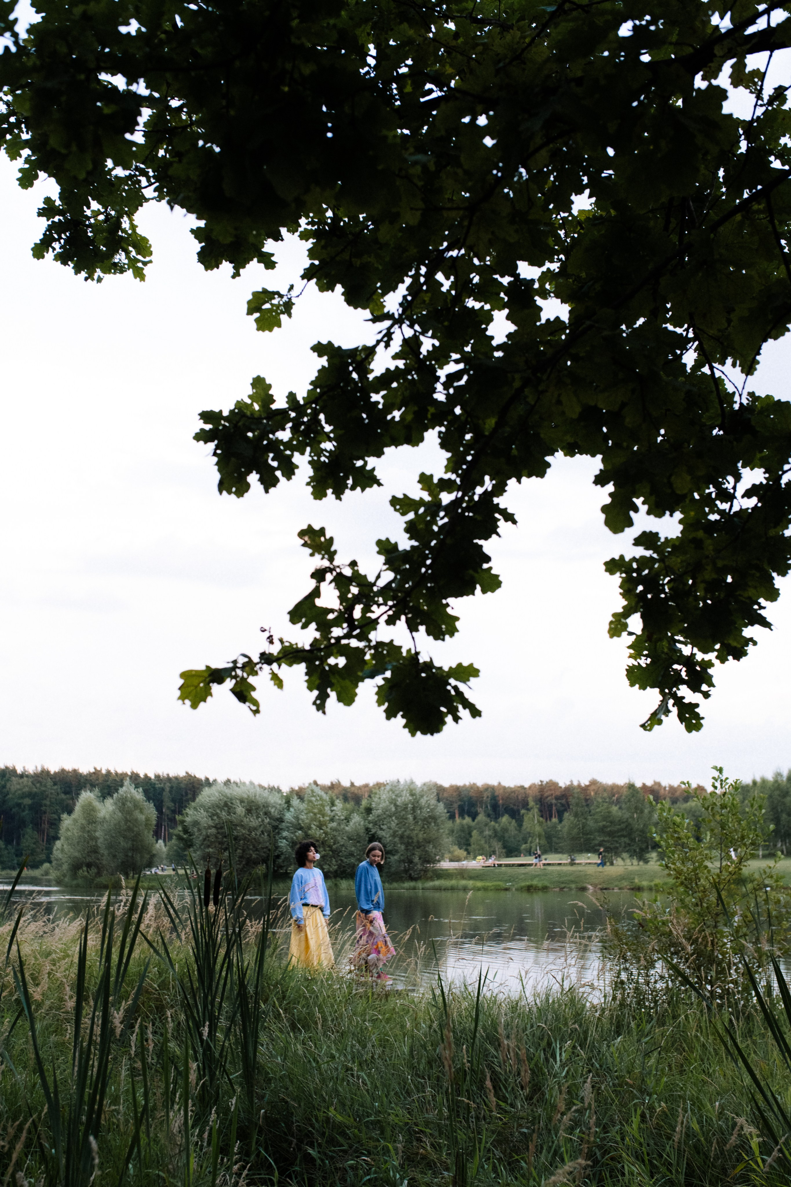 Хвост, смех и лучшие подруги. Фотограф анималист в Москве Ольга Агушева