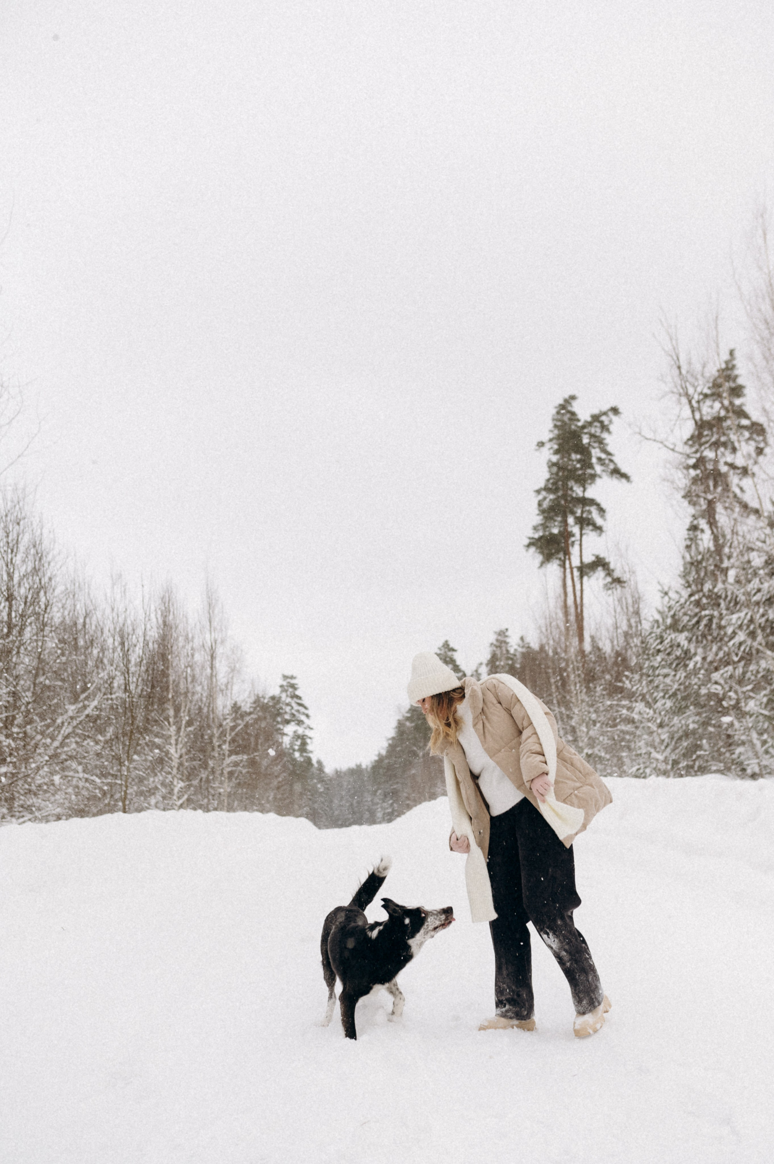 Аня и Милан. Фотограф анималист в Москве Ольга Агушева
