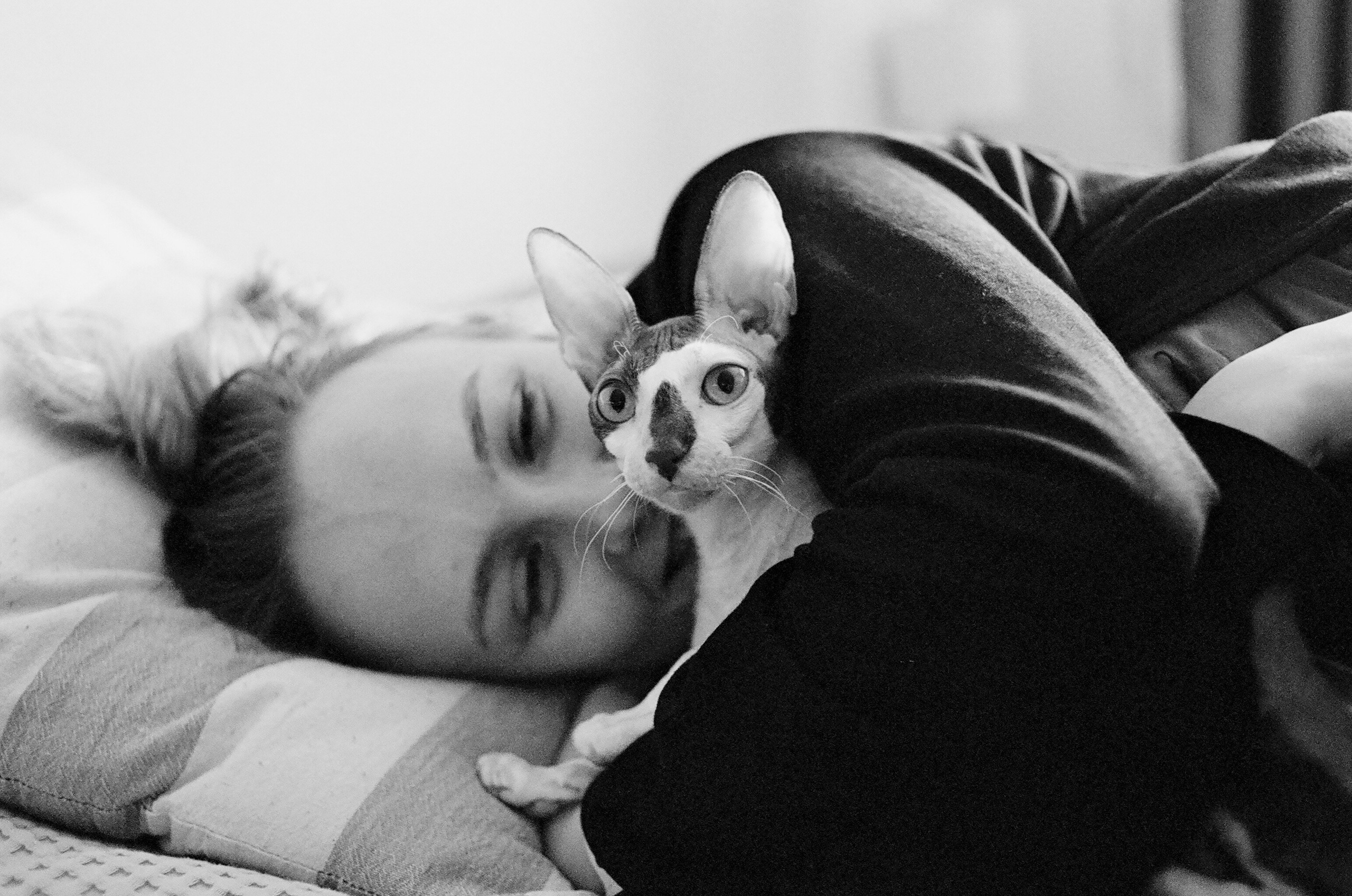 Film. Ruslan UI Dev Page