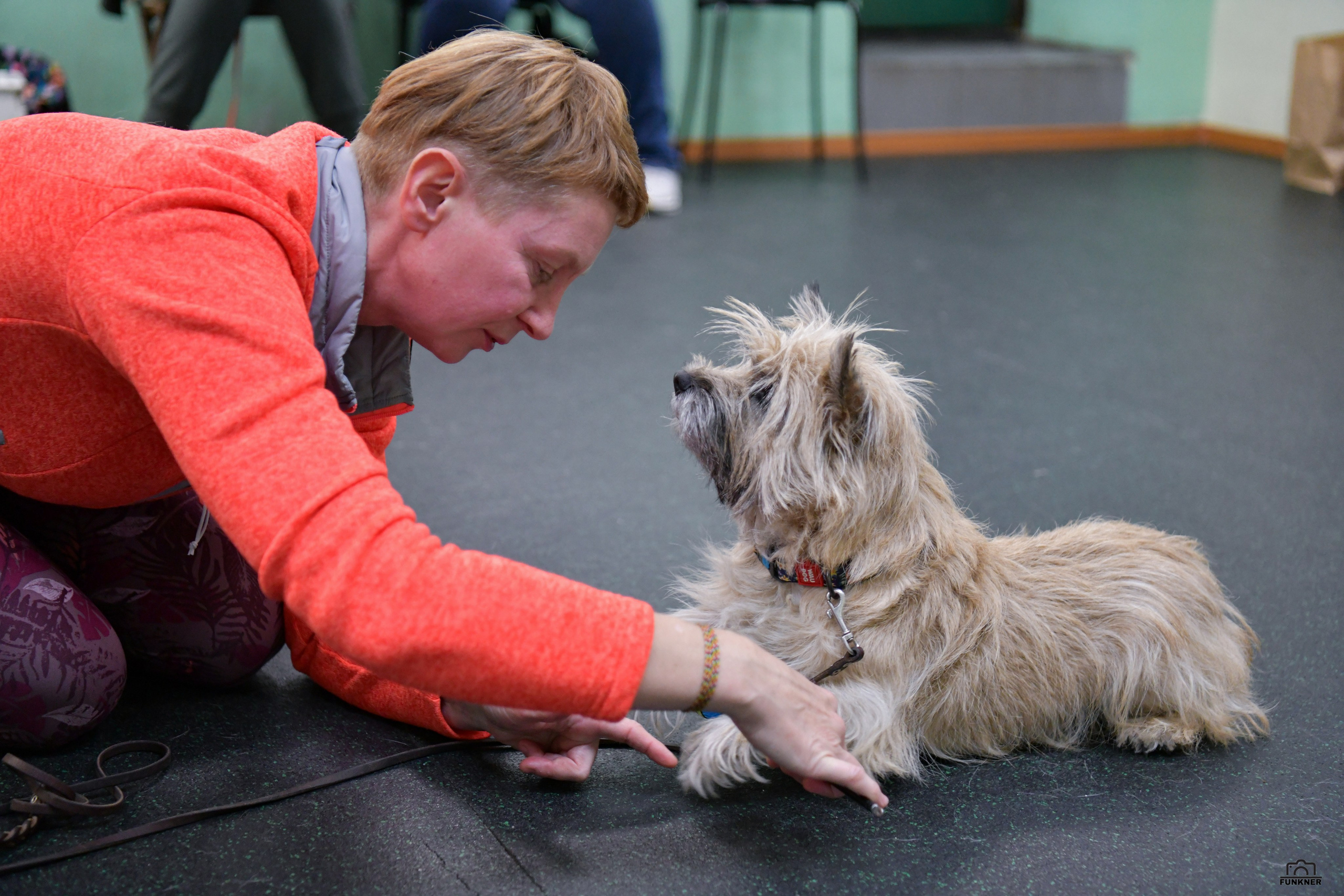 Кинологический клуб «Бодрый хвост». Свой взгляд через объектив