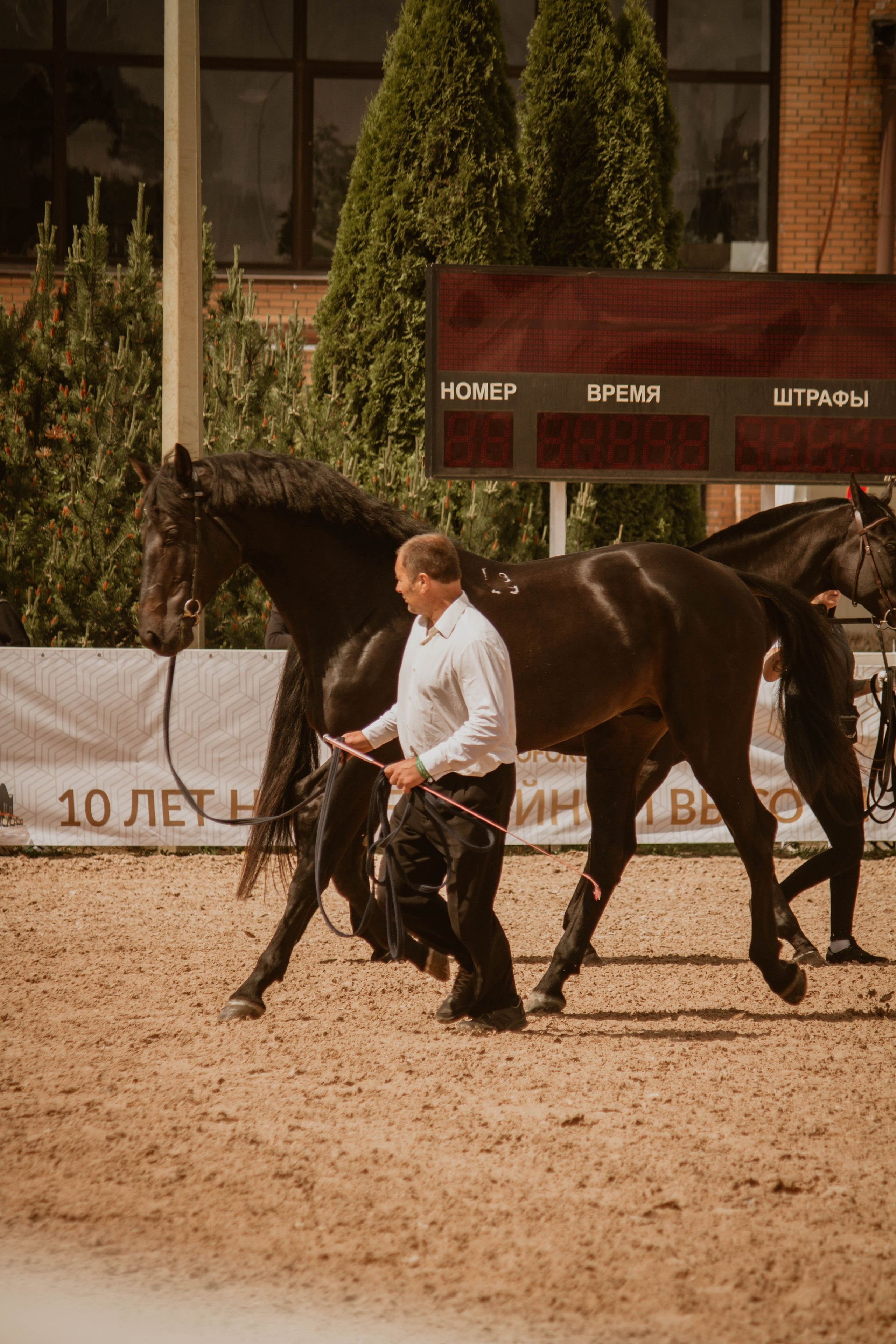 ИППОСФЕРА — Международная конная выставка. Создадим шедевр? Виталина и её фотоискусство