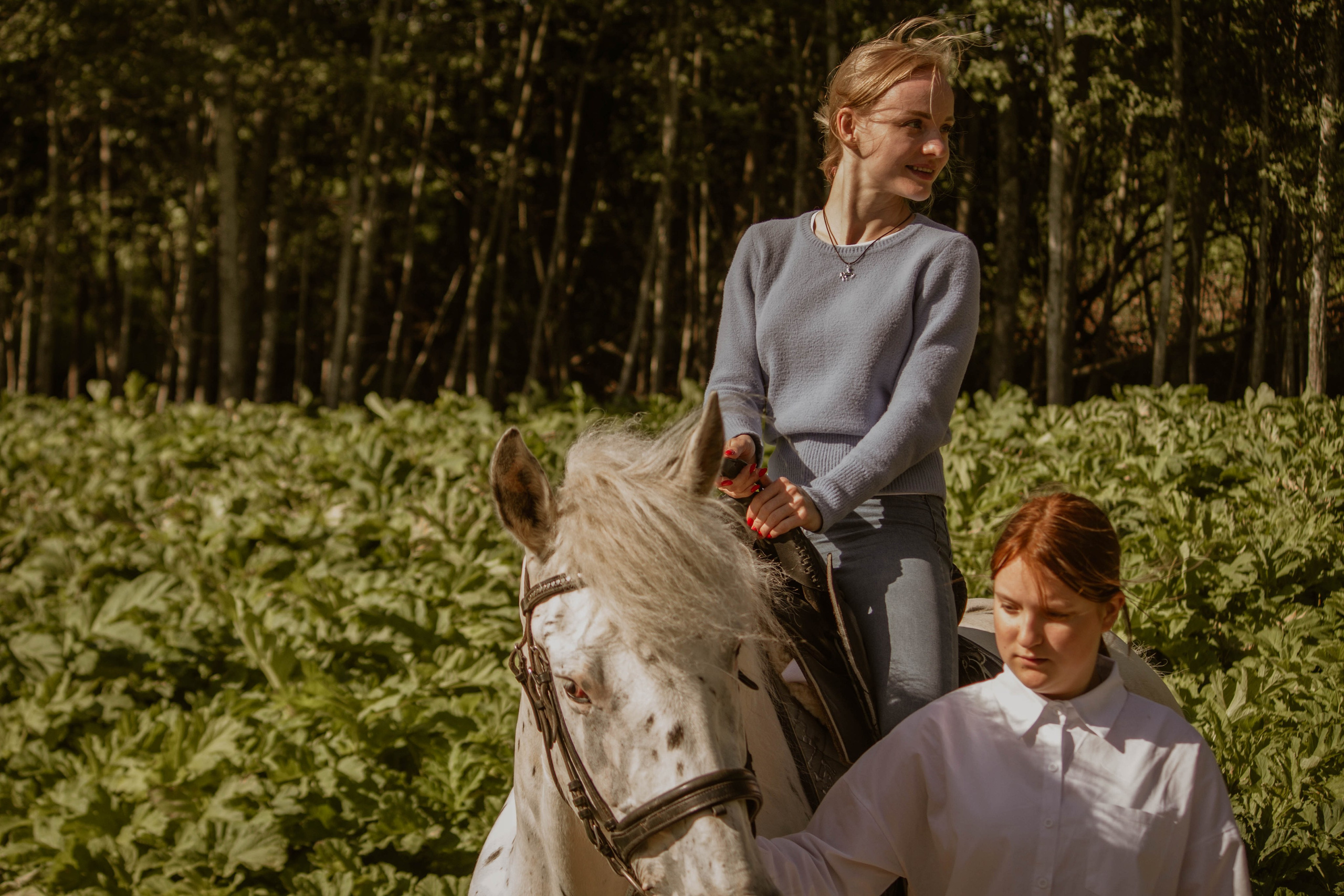 ИППОСФЕРА — Международная конная выставка. Создадим шедевр? Виталина и её фотоискусство