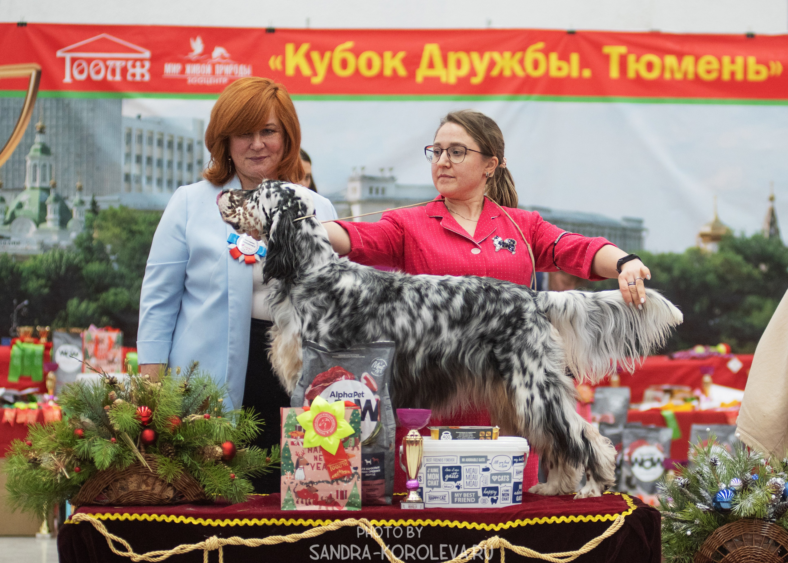 Выставка собак тюмень 10.12.2022. Дог-фотограф в Тюмени Александра Королева