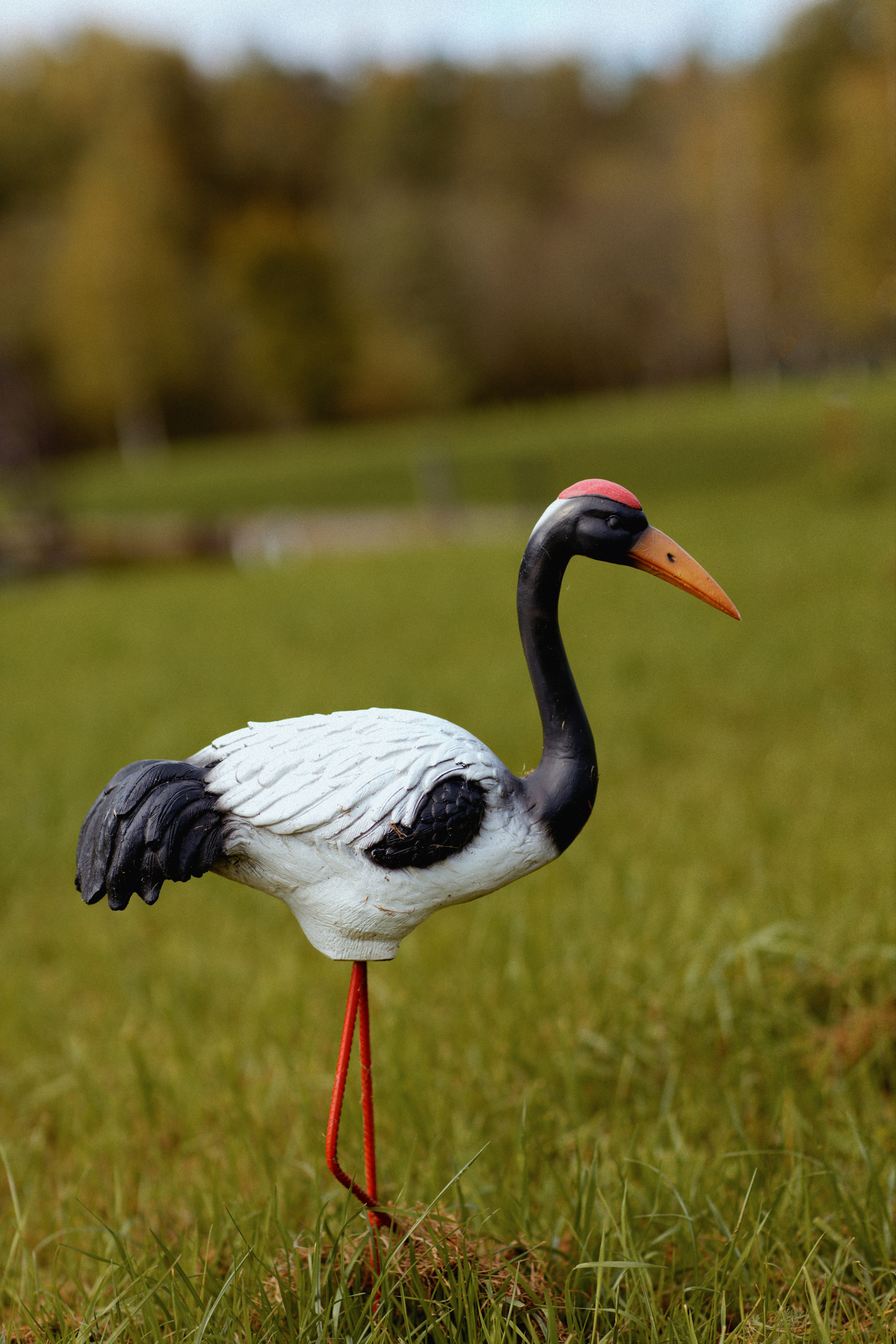 Эко-отель Лепота. Свадебный фотограф в Москве Никифоров-Гордеев Константин