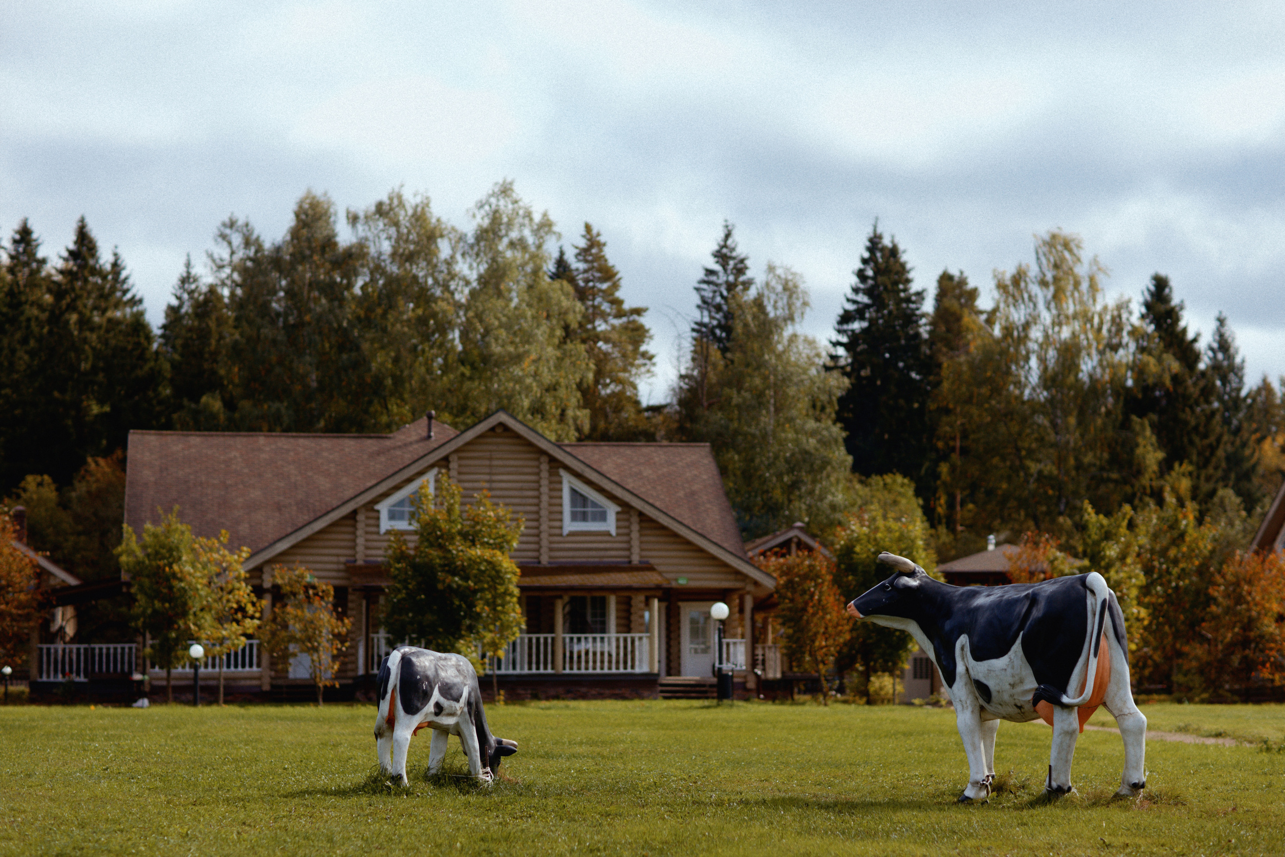 Эко-отель Лепота. Свадебный фотограф в Москве Никифоров-Гордеев Константин