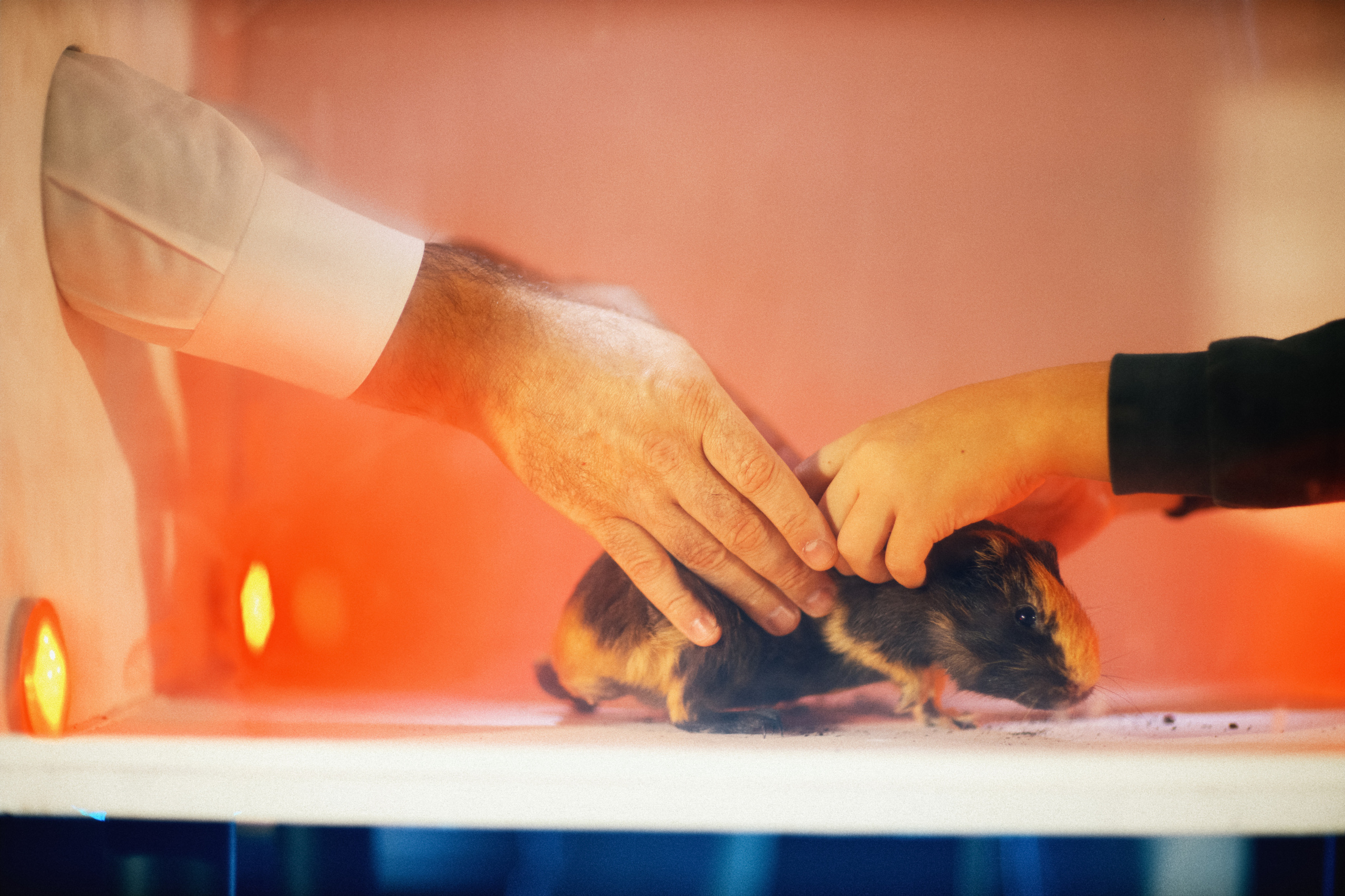 Ресторан Bistrot. Свадебный фотограф в Москве Никифоров-Гордеев Константин