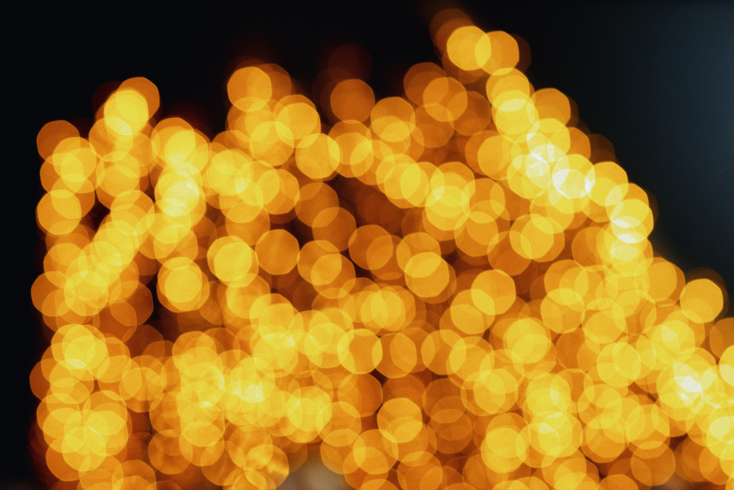 Эко-отель Лепота. Свадебный фотограф в Москве Никифоров-Гордеев Константин