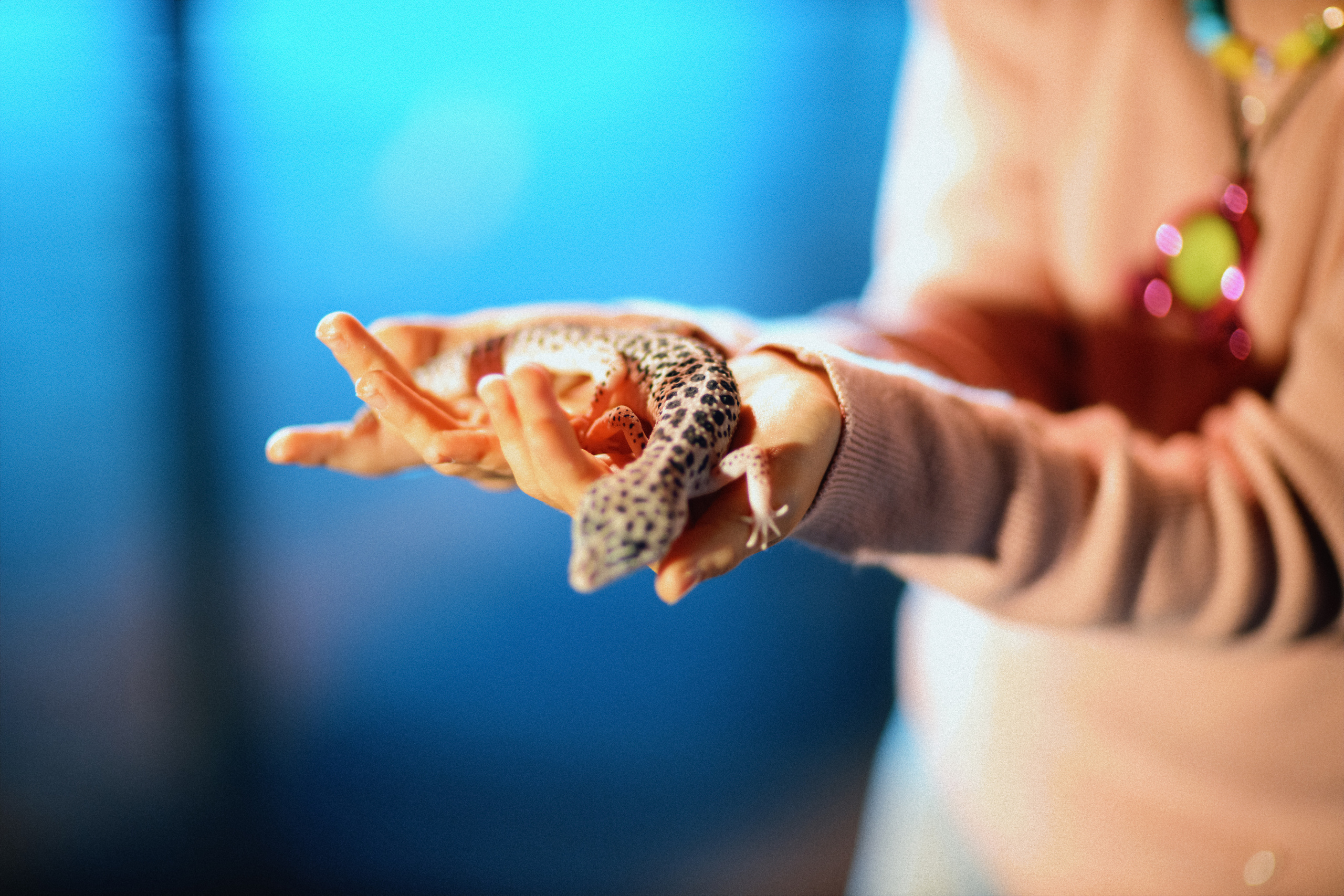 Ресторан Bistrot. Свадебный фотограф в Москве Никифоров-Гордеев Константин