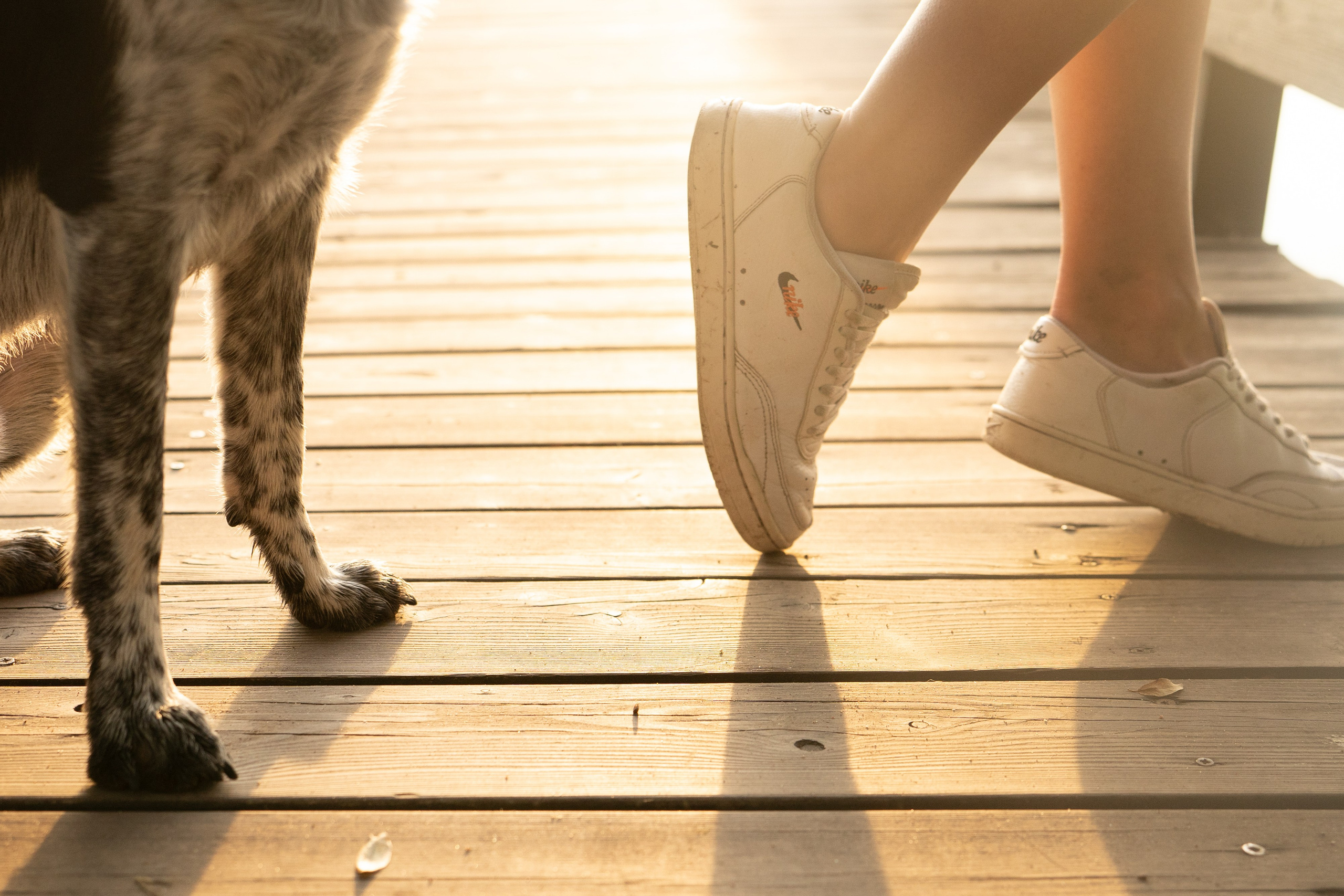 Катя, Сергей и Флинт. Фотограф анималист в Москве и Санкт-Петербурге Свиридова Анна