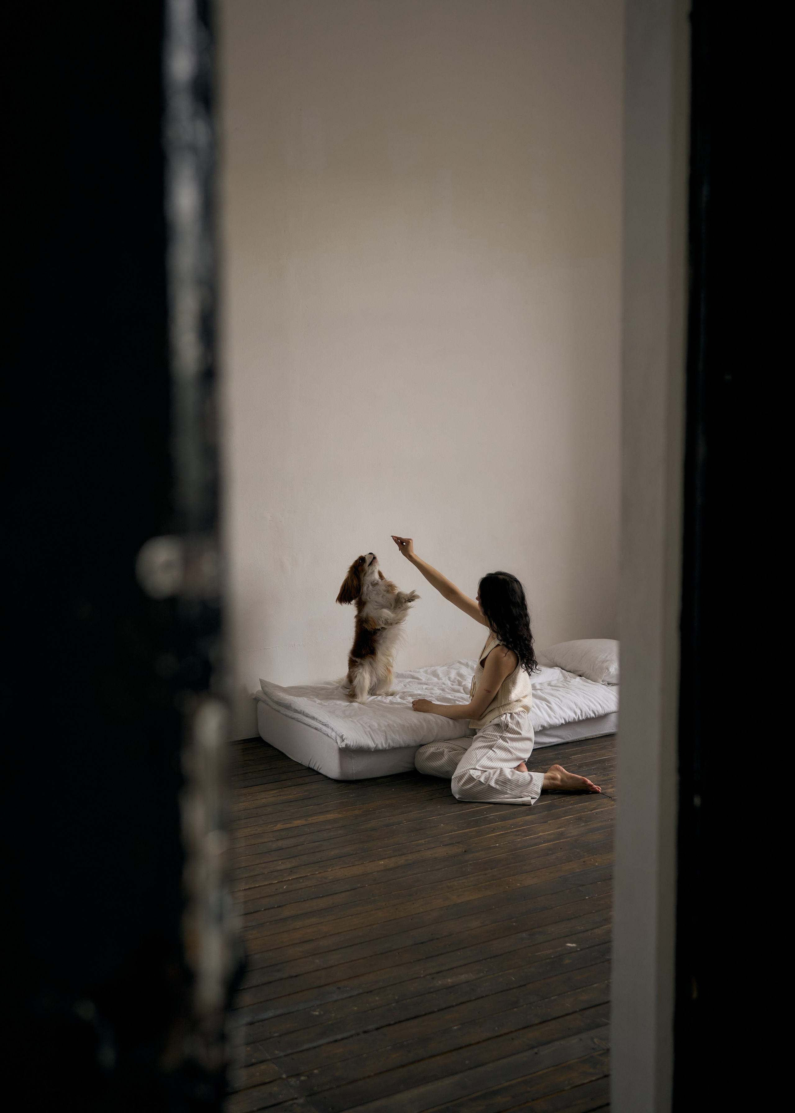 С питомцами. Фотограф СПб Диана