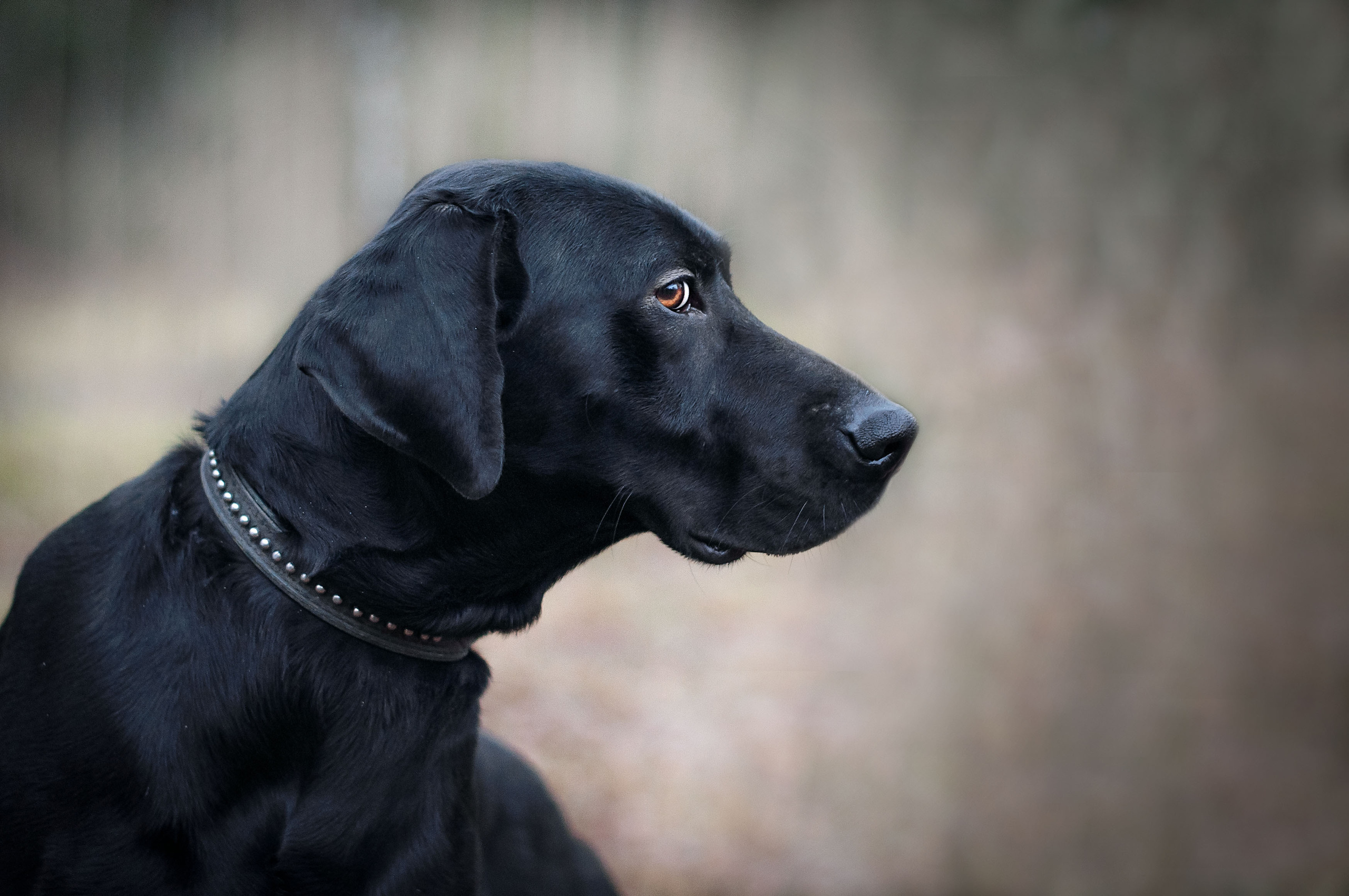 Фотограф в Королеве Людмила Потапова