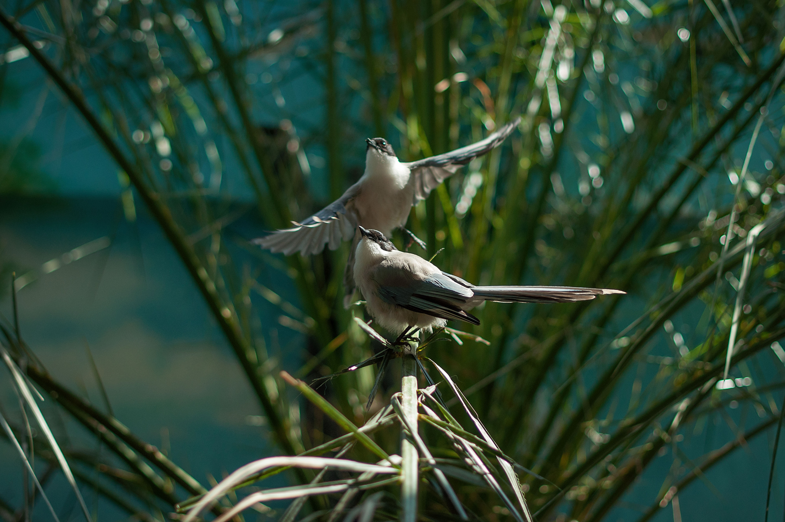 МОСКОВСКИЙ ЗООПАРК. Фотограф в Королеве Людмила Потапова