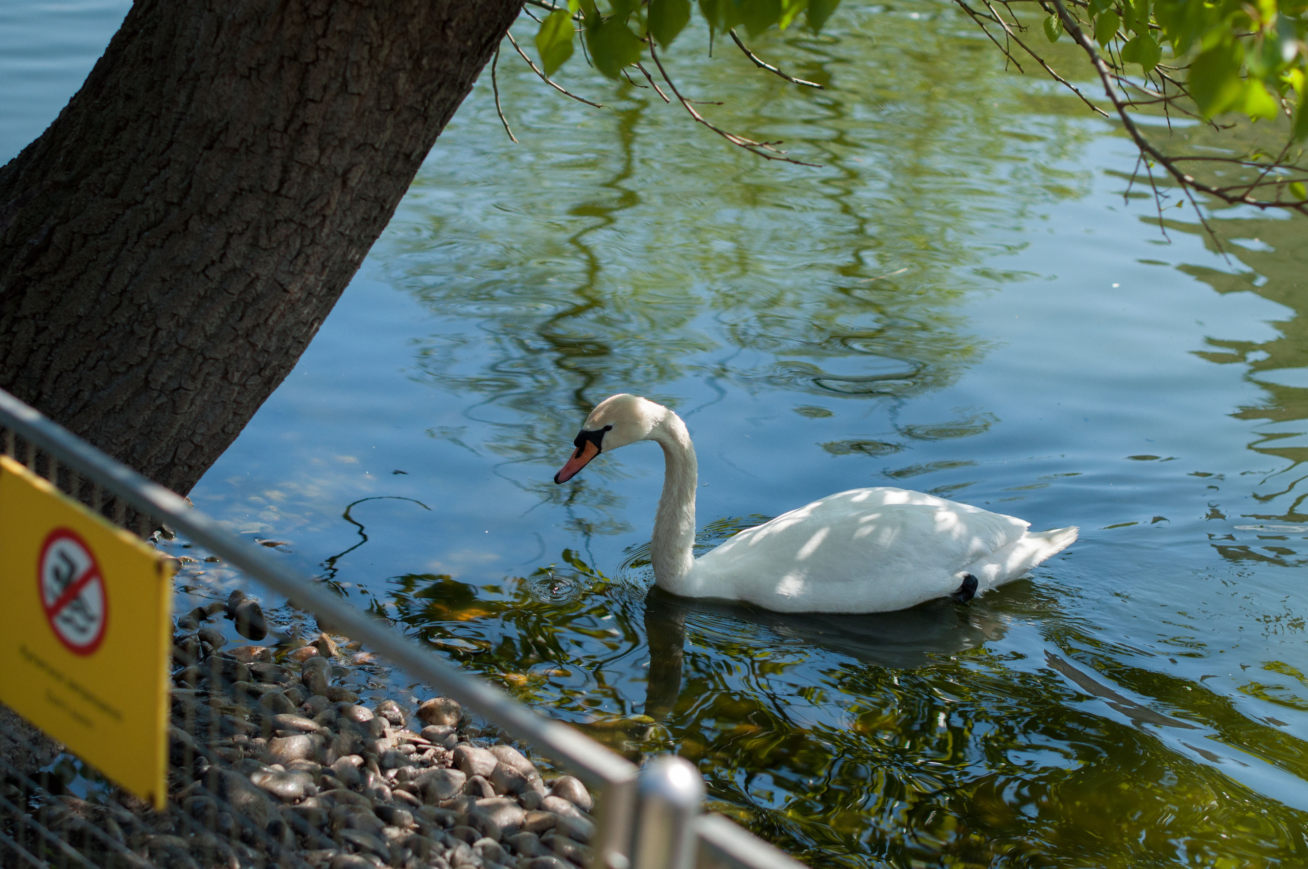 МОСКОВСКИЙ ЗООПАРК. Фотограф в Королеве Людмила Потапова