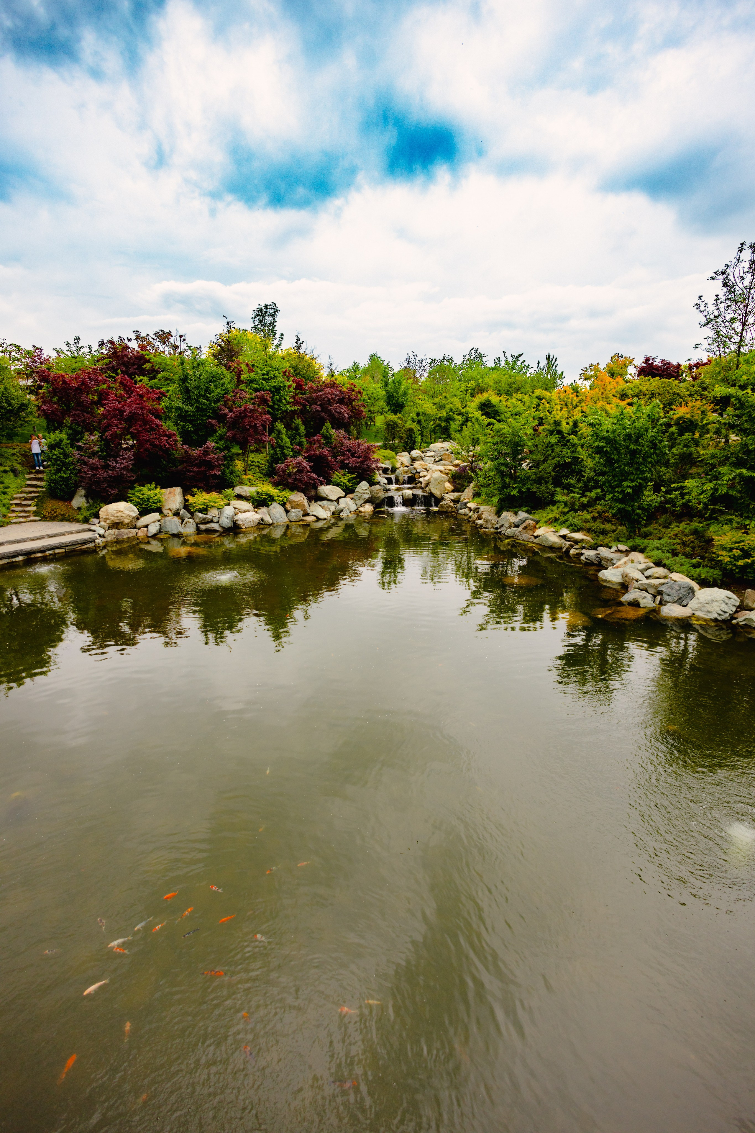 Японский сад в Краснодаре. Профессиональный фотограф и видеооператор