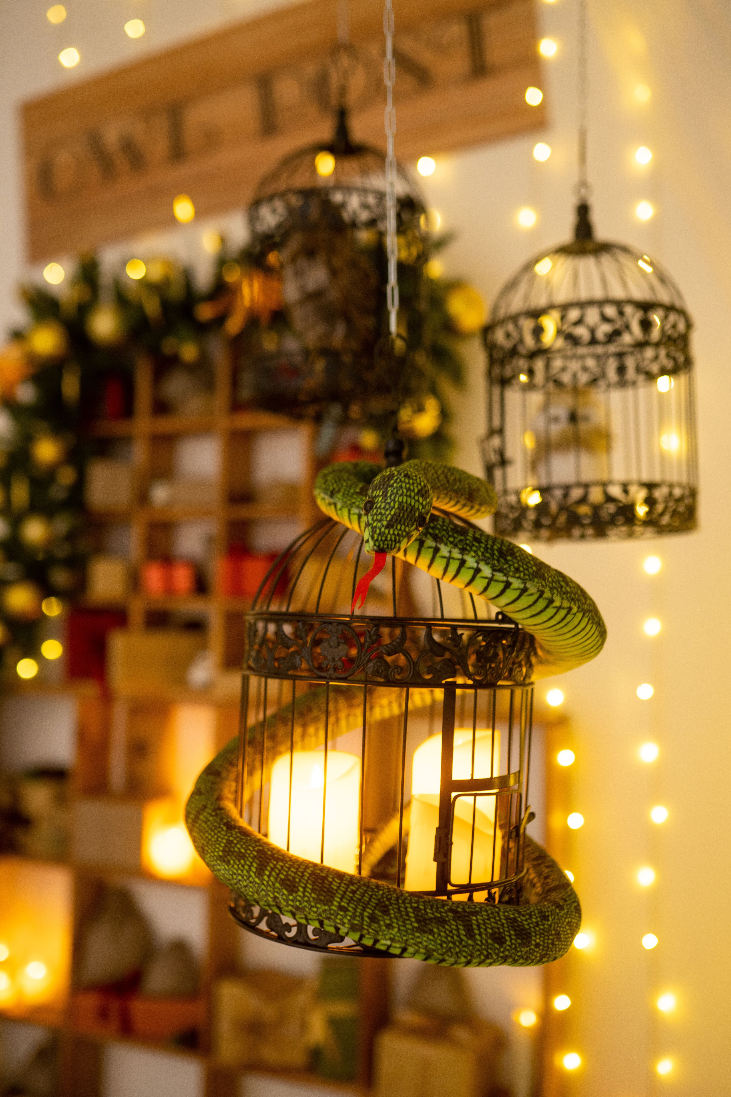 Зал Детский. Фотограф г. Хабаровск. Семейные и индивидуальные съёмки