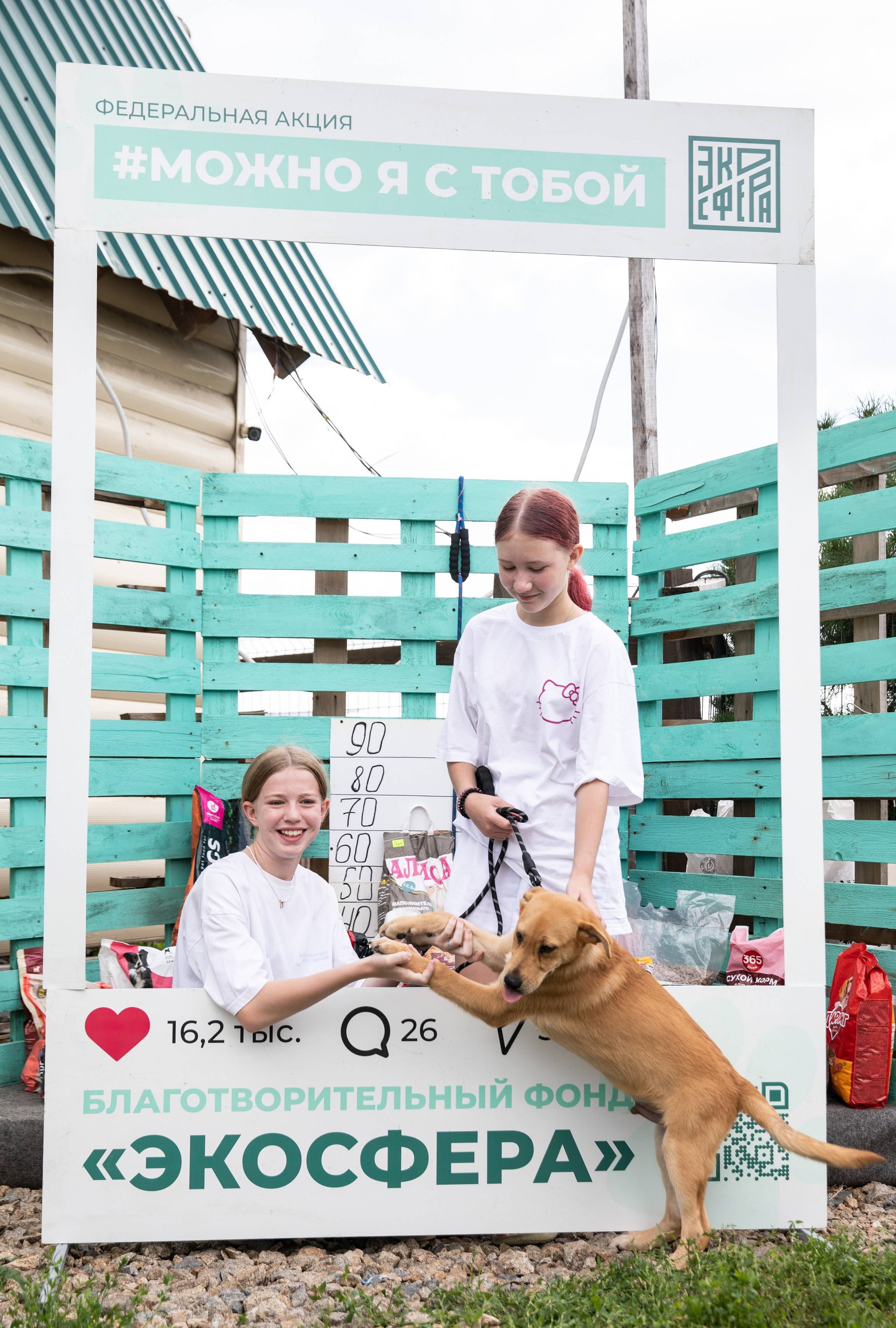 Приют — Наш дом. Репортажный и свадебный фотограф в Челябинске Елисеев Павел