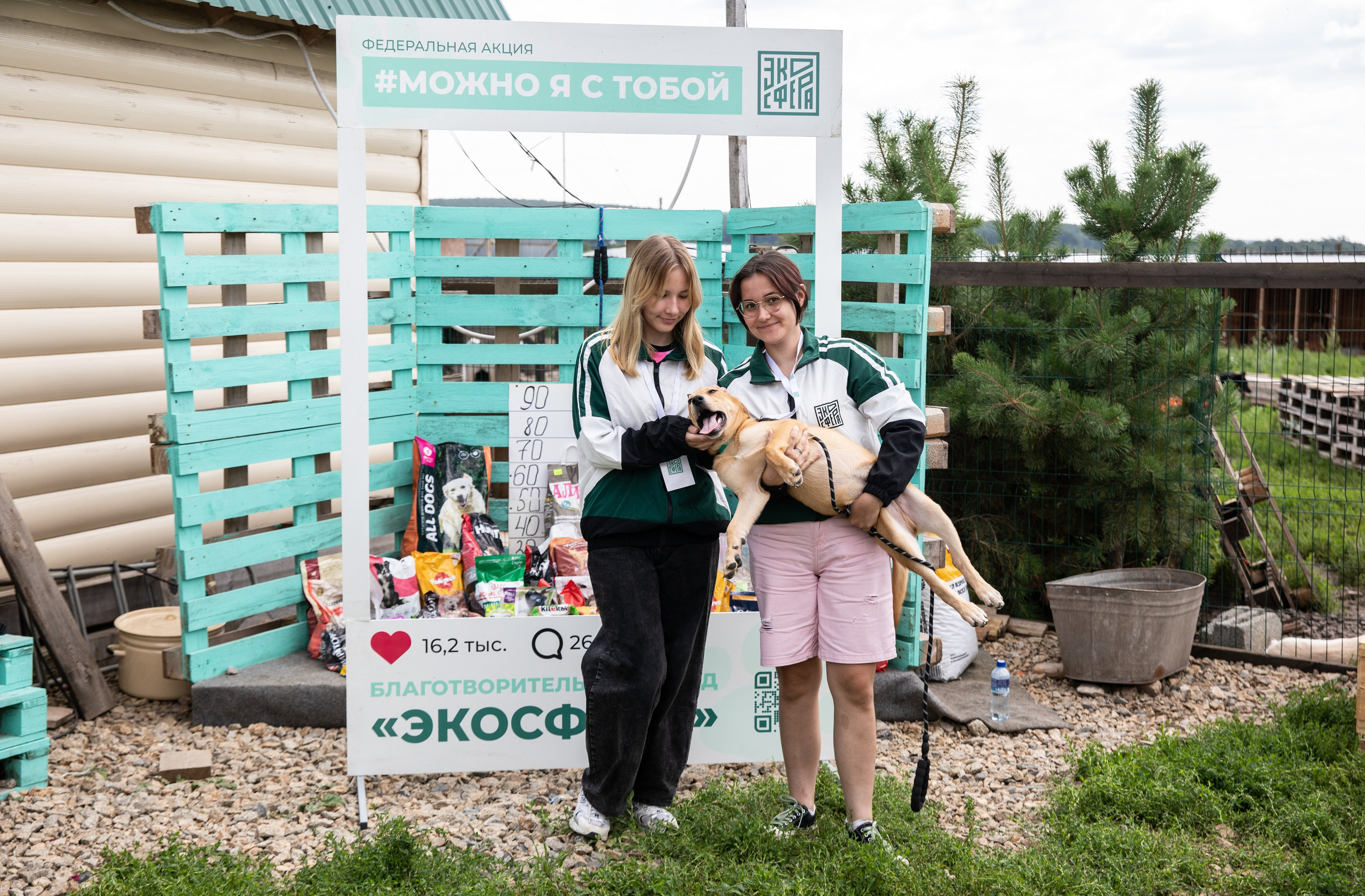 Приют — Наш дом. Репортажный и свадебный фотограф в Челябинске Елисеев Павел