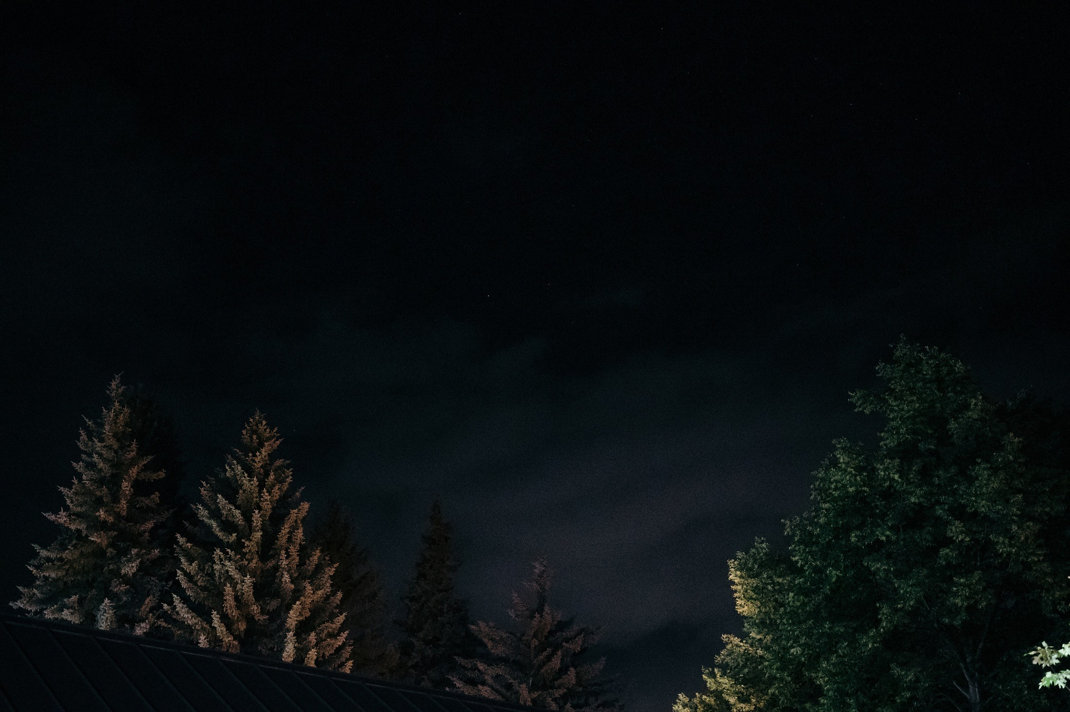 Аня и Вова. Свадебный и семейный фотограф в Краснодаре Роман Моско