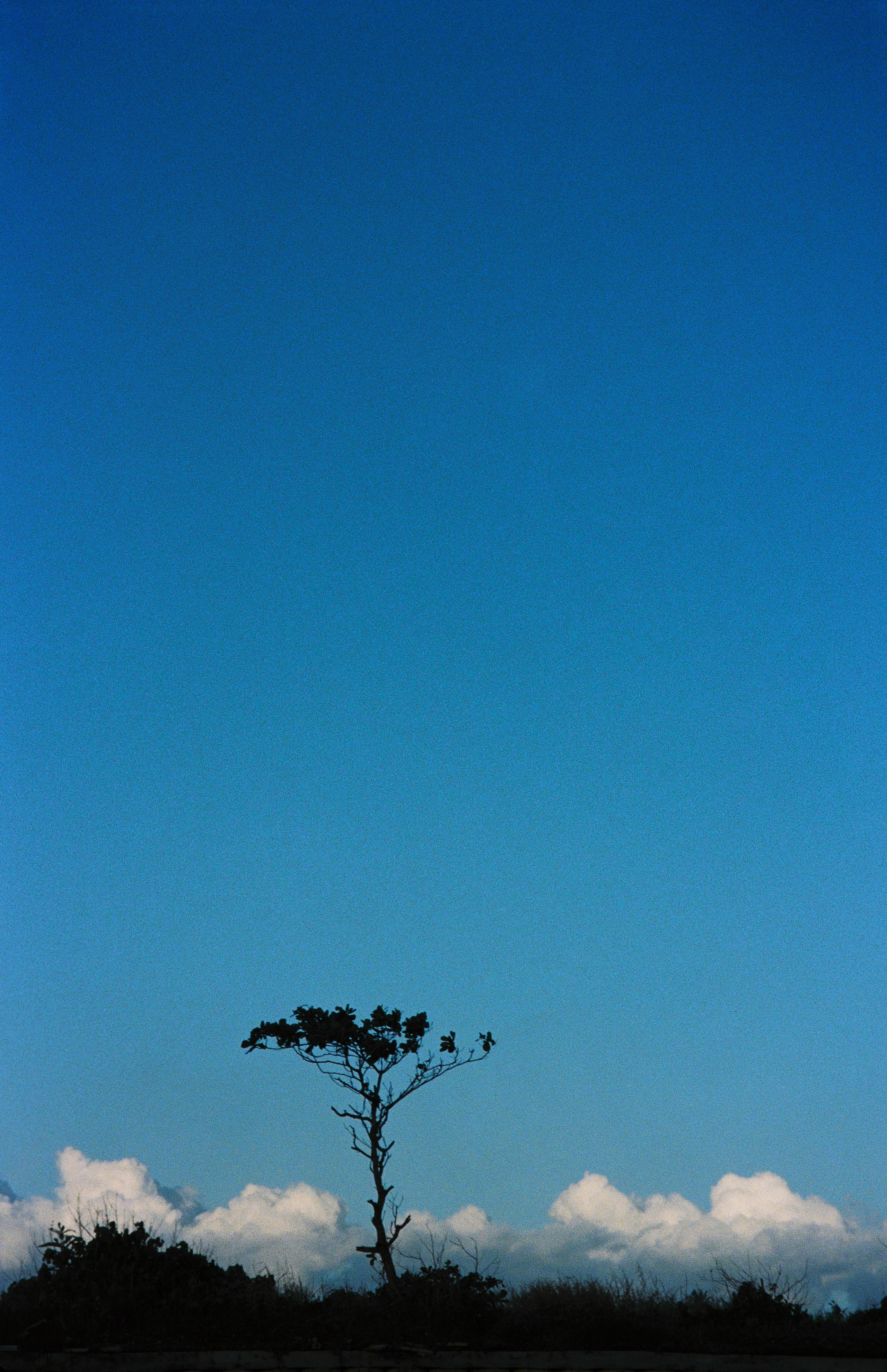 BALI. Любовь Моргасова [LU SPRING]: Фотограф и куратор