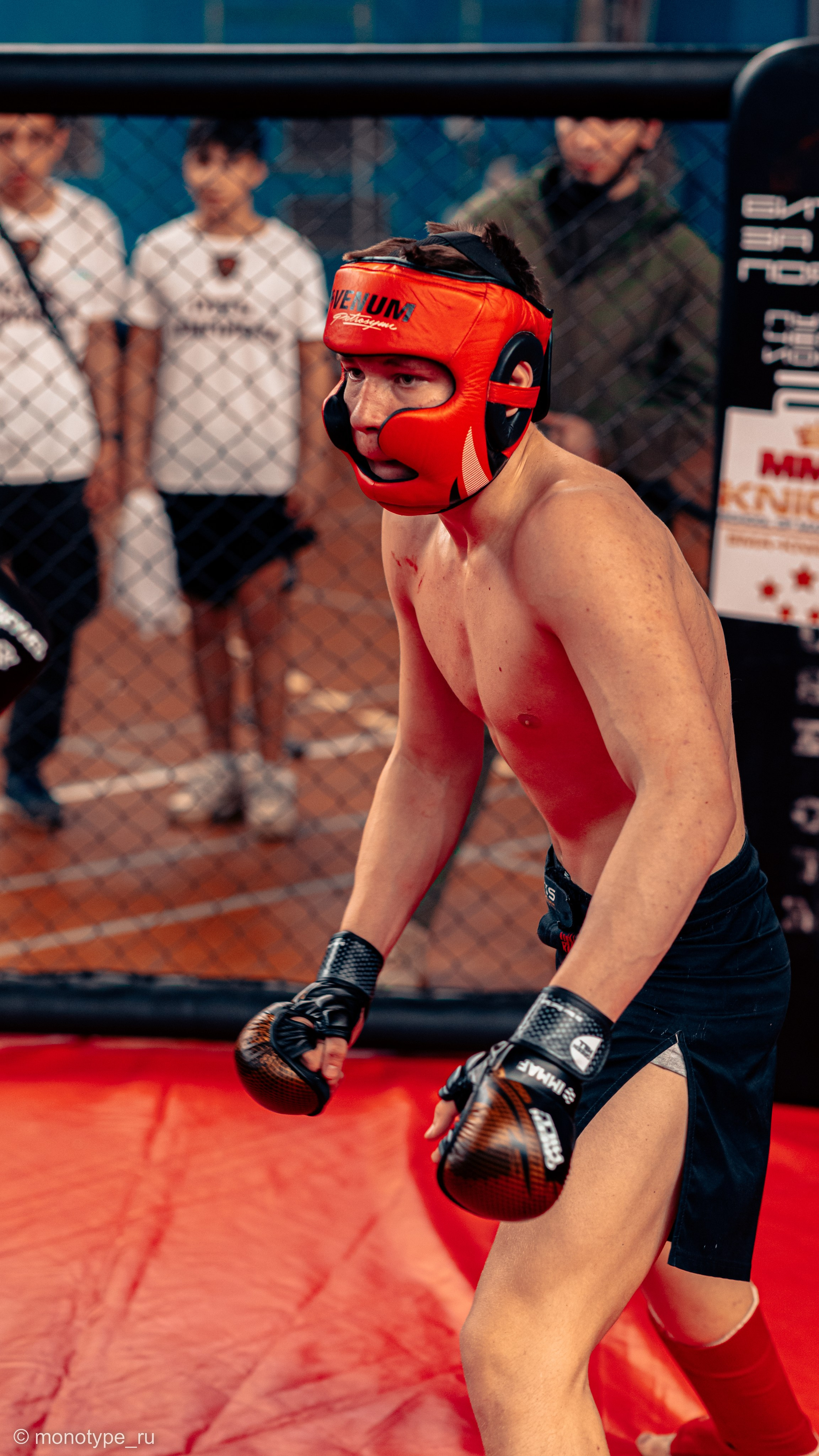 MMA. Бойцовский турнир