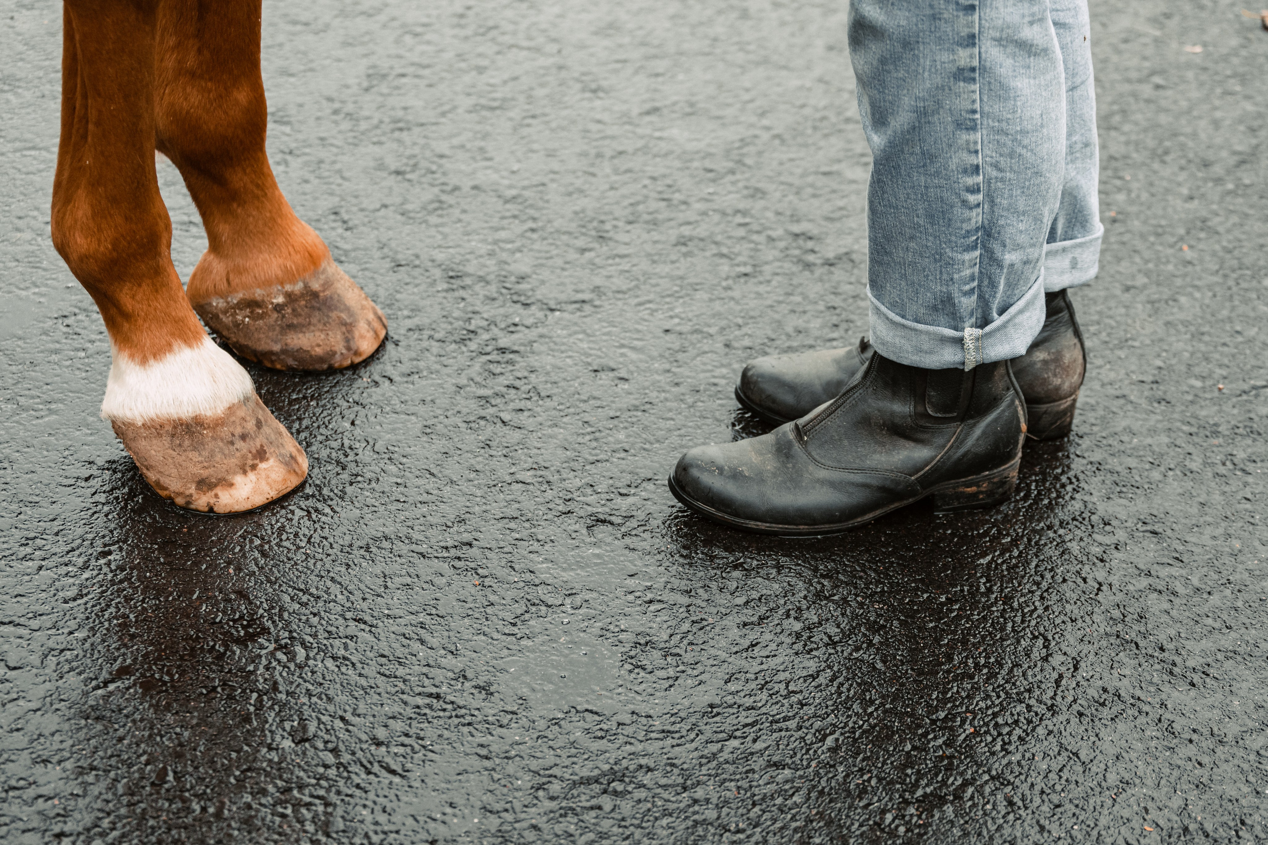 Лена и Рэджи. Фотограф-анималист Татьяна Степанова