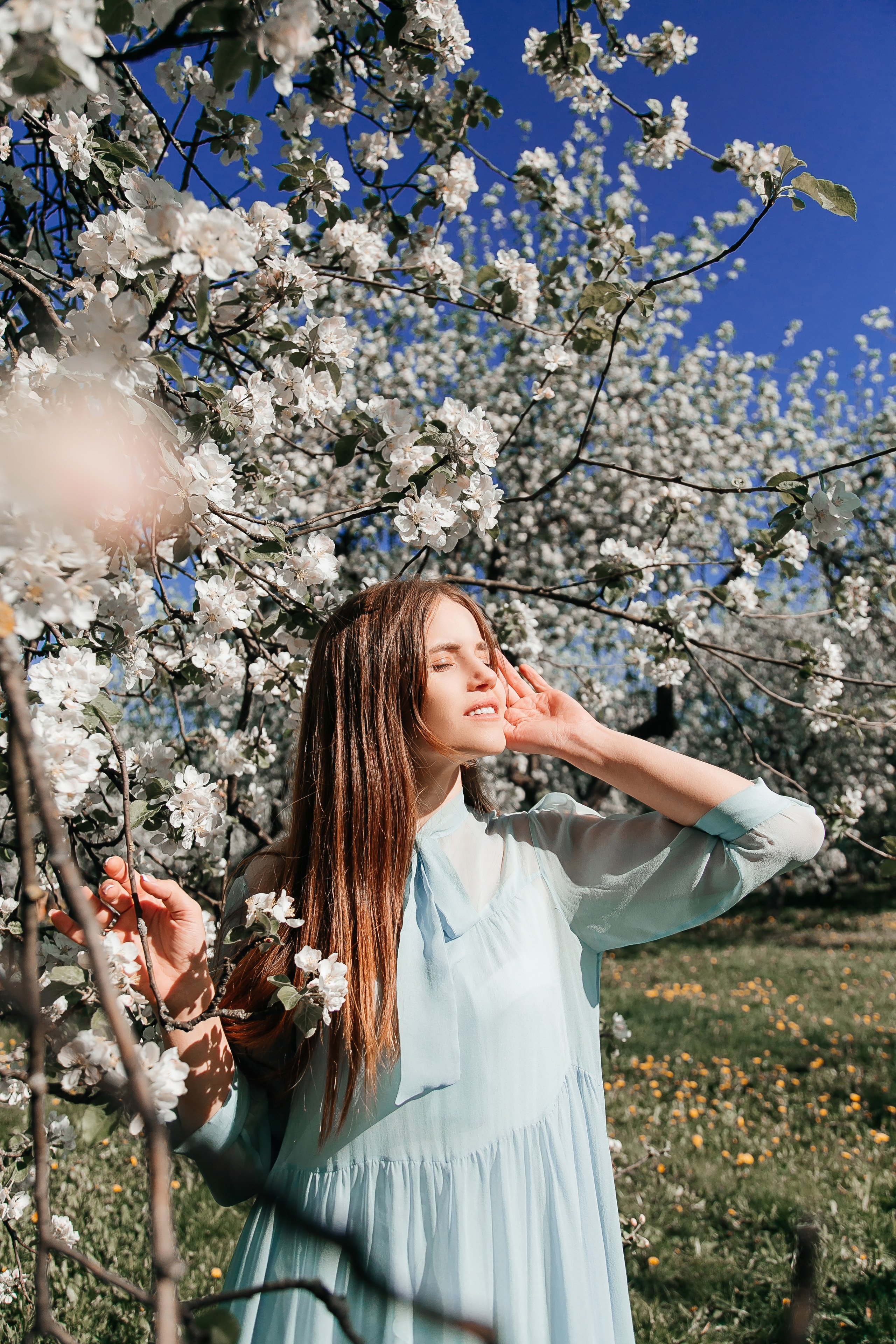 фотосессия в цветении Москва сакура, фотосессия в цветущих яблонях Москва, весенняя фотосессия в Москве, девушка в цветущем саду Москва, Катерина Сысуева, Екатерина Сысуева, rina_sphoto, фотограф в Москве