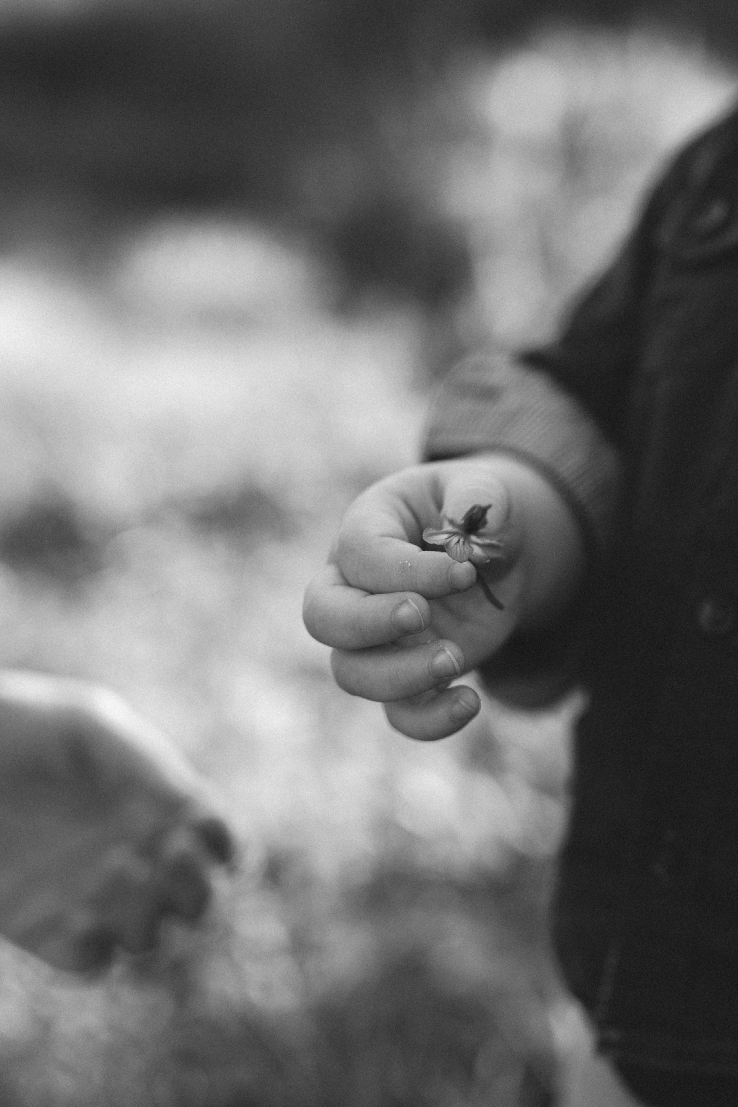 Елизавета, Христина и Иоаннис. Семейный фотограф в Новом Уренгое Алёна Пряженцева