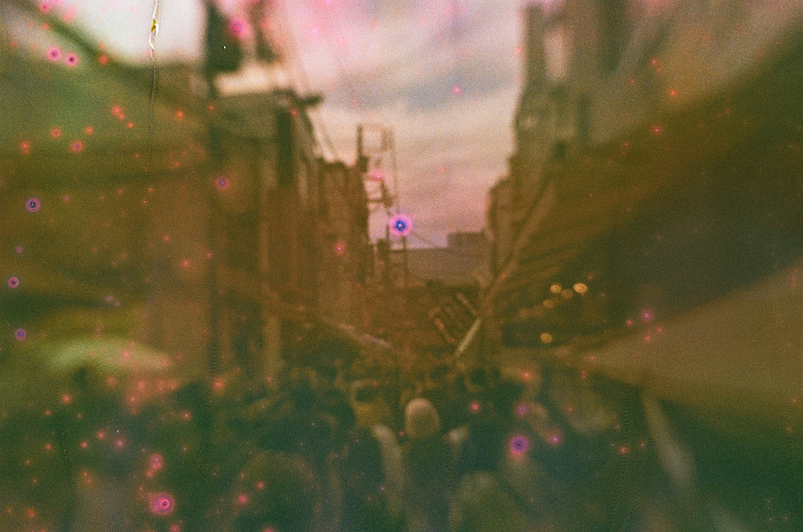 JAPAN FILM. International visual artist