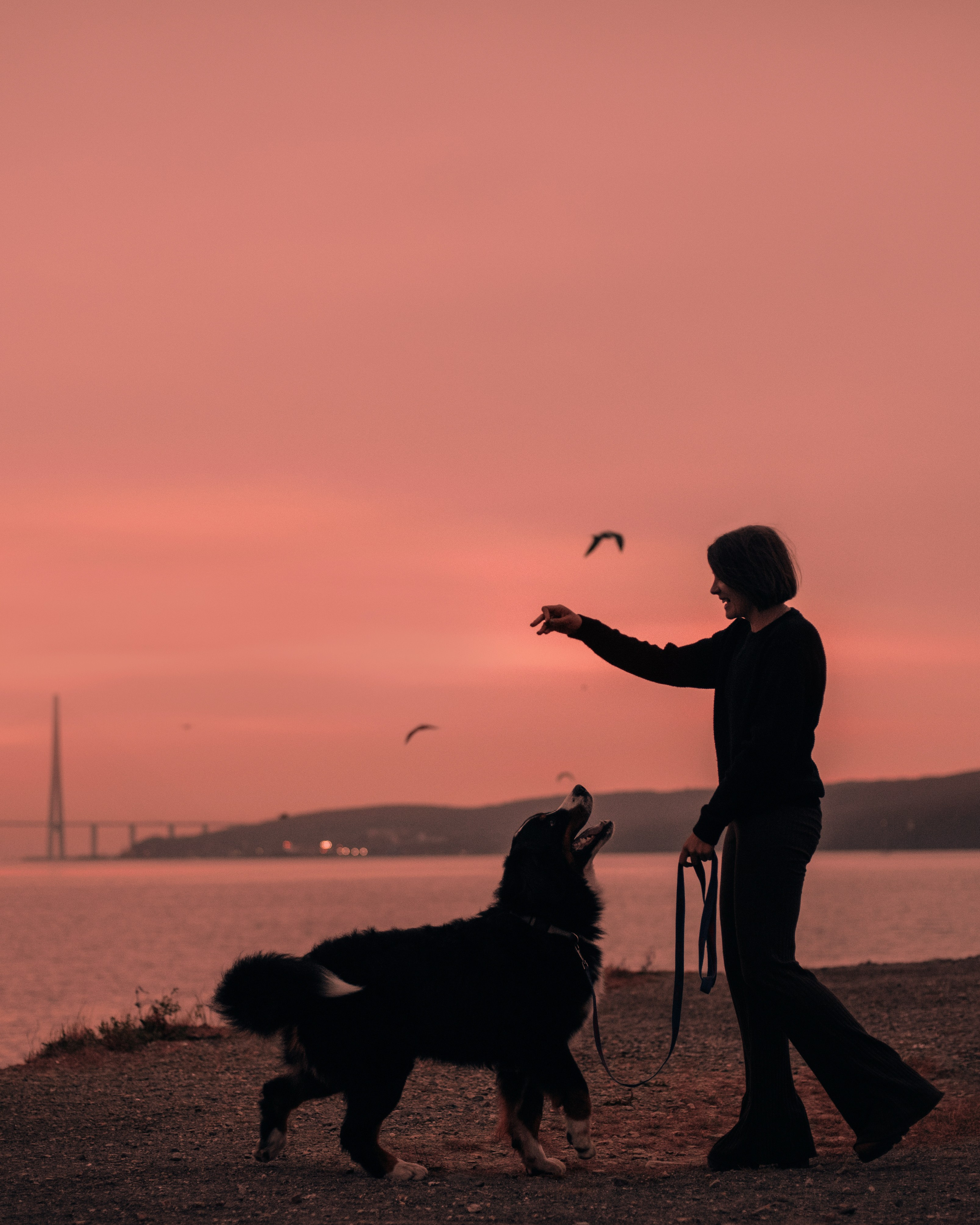 Владивосток: Марс и Маша. Портфолио